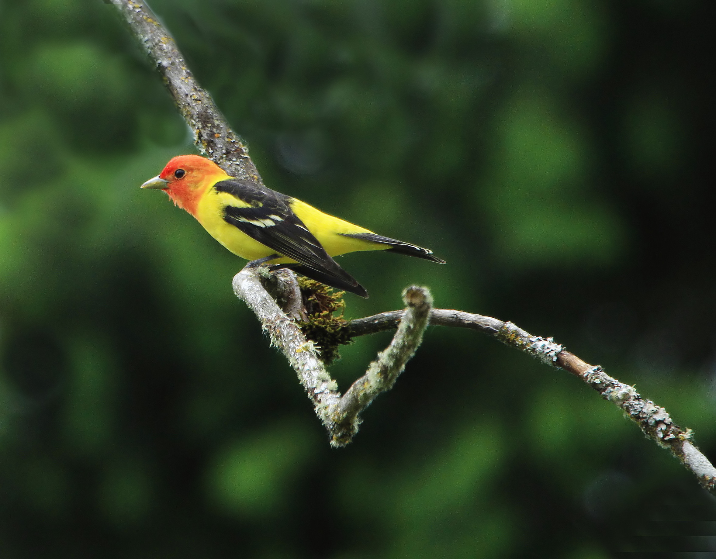 Kaleidoscope of Color.