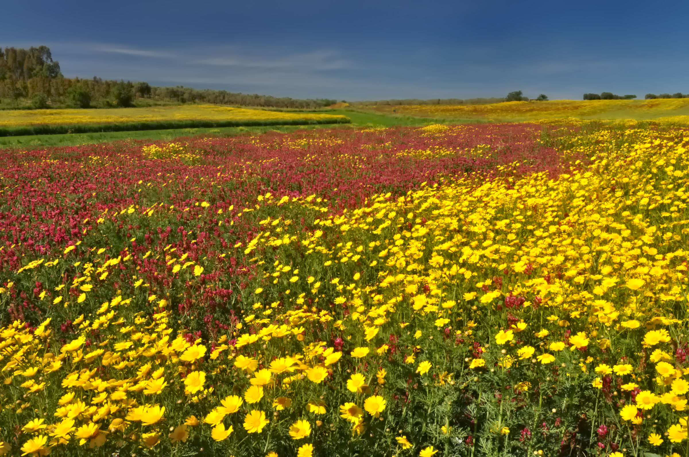 I colori della "mia" terra ...