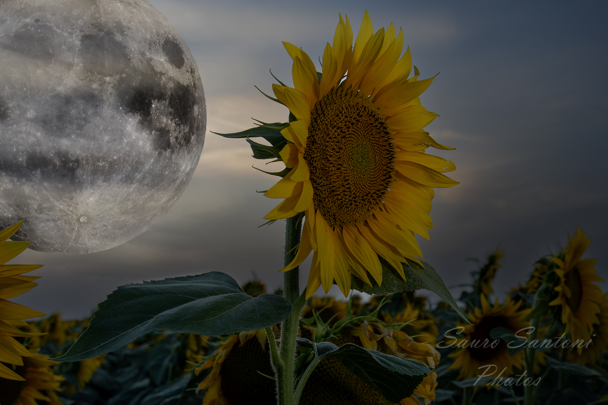 And the moon knocked....