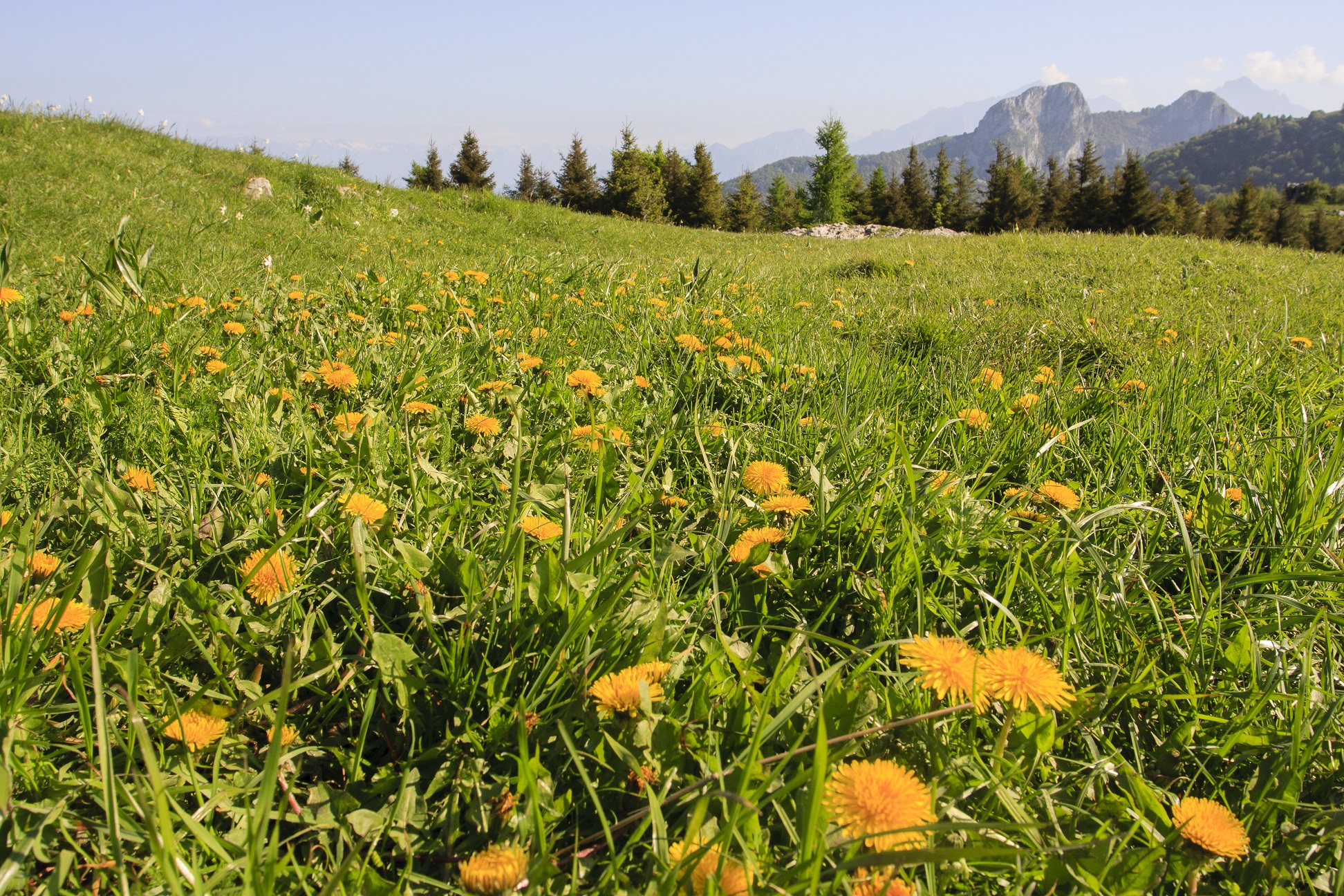 Minesweeper and Horns of Canzo