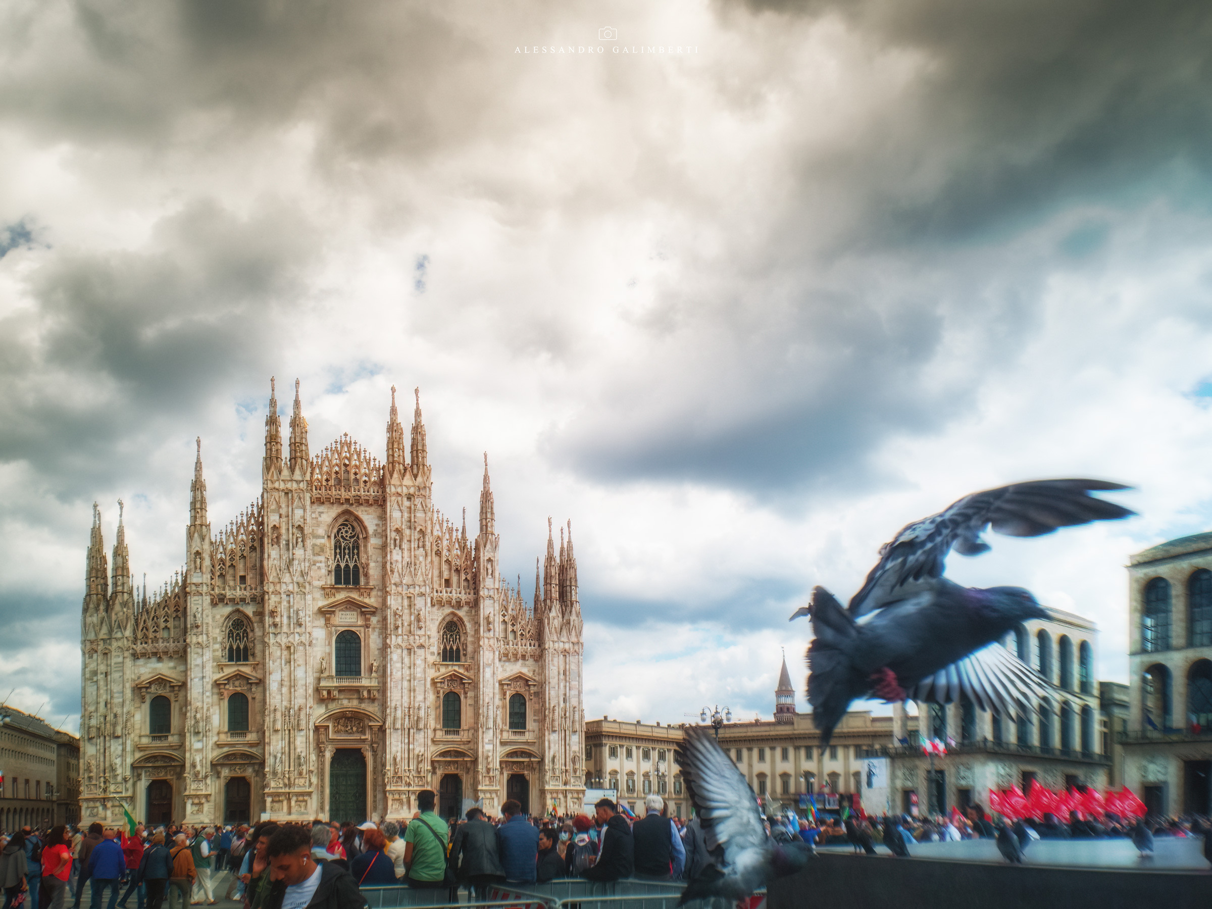 Tutti in piazza