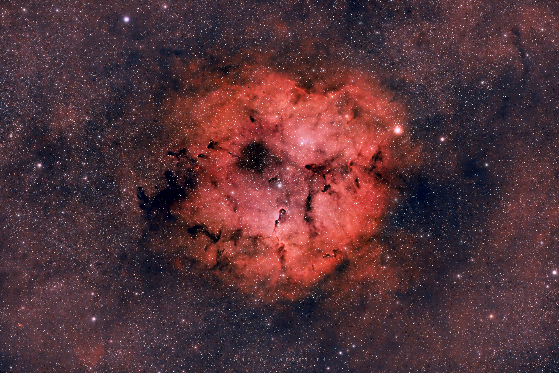ic1396