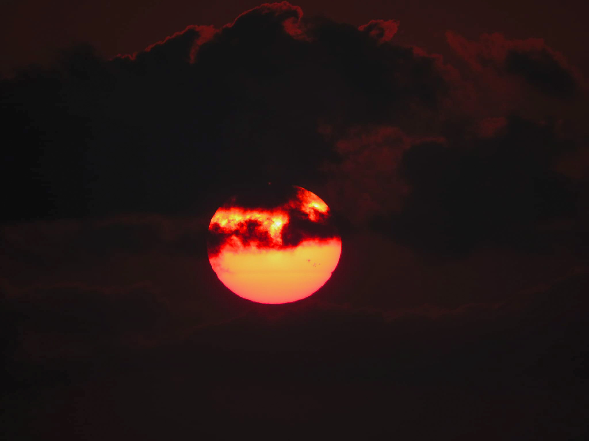 Sole