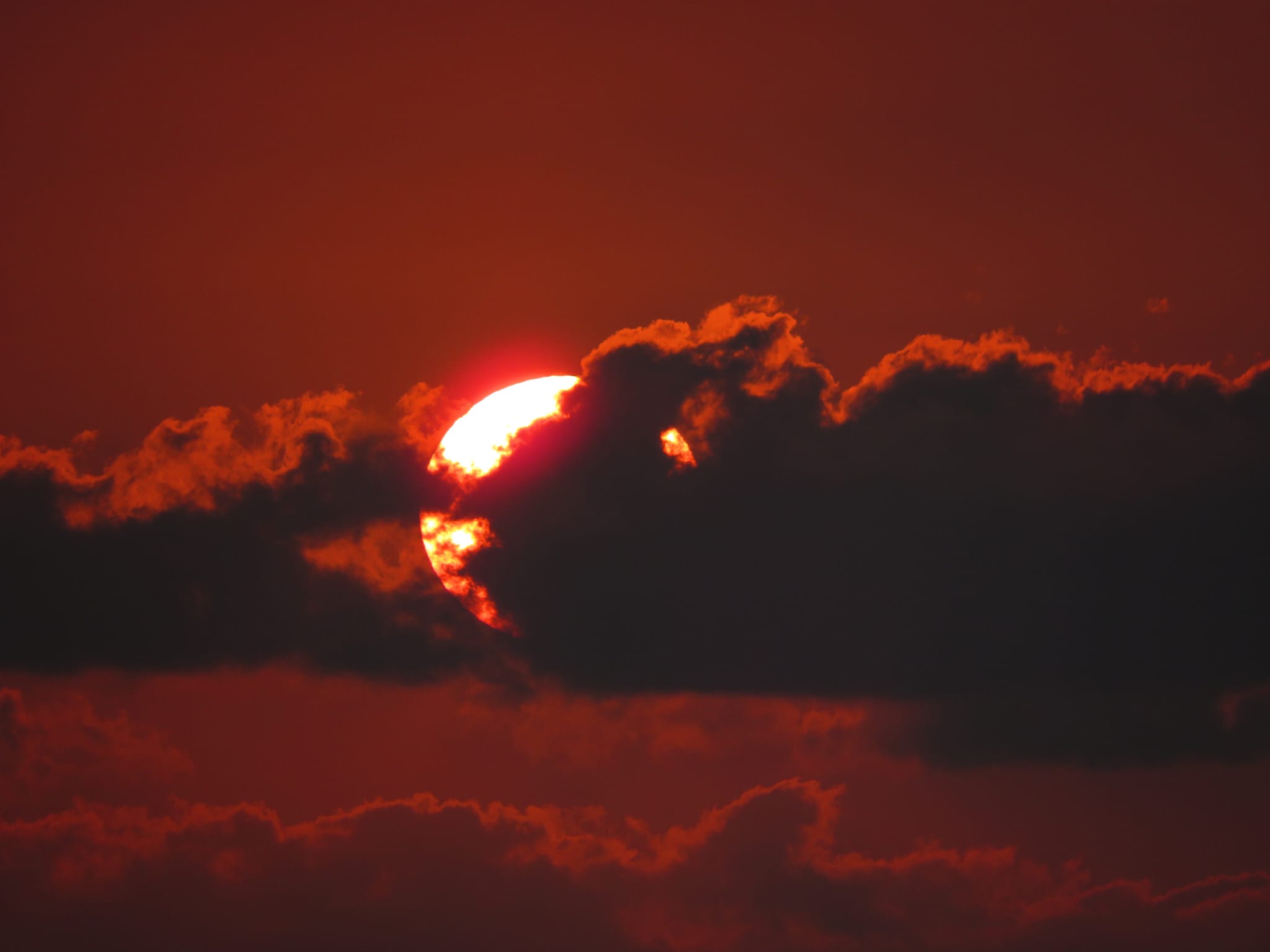 Sole