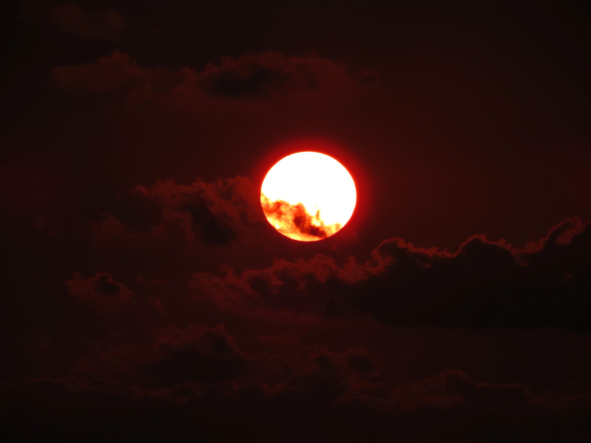 Sole
