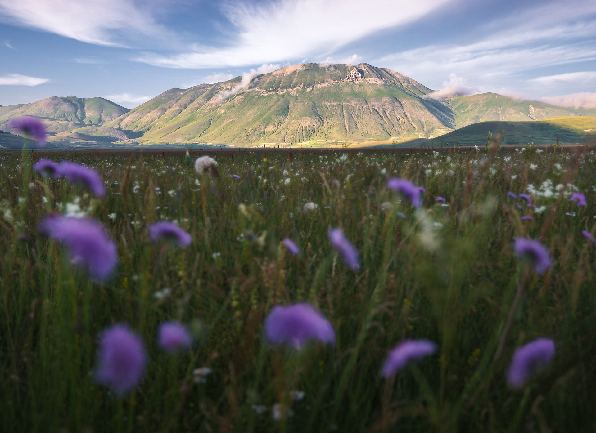 Castelluccio