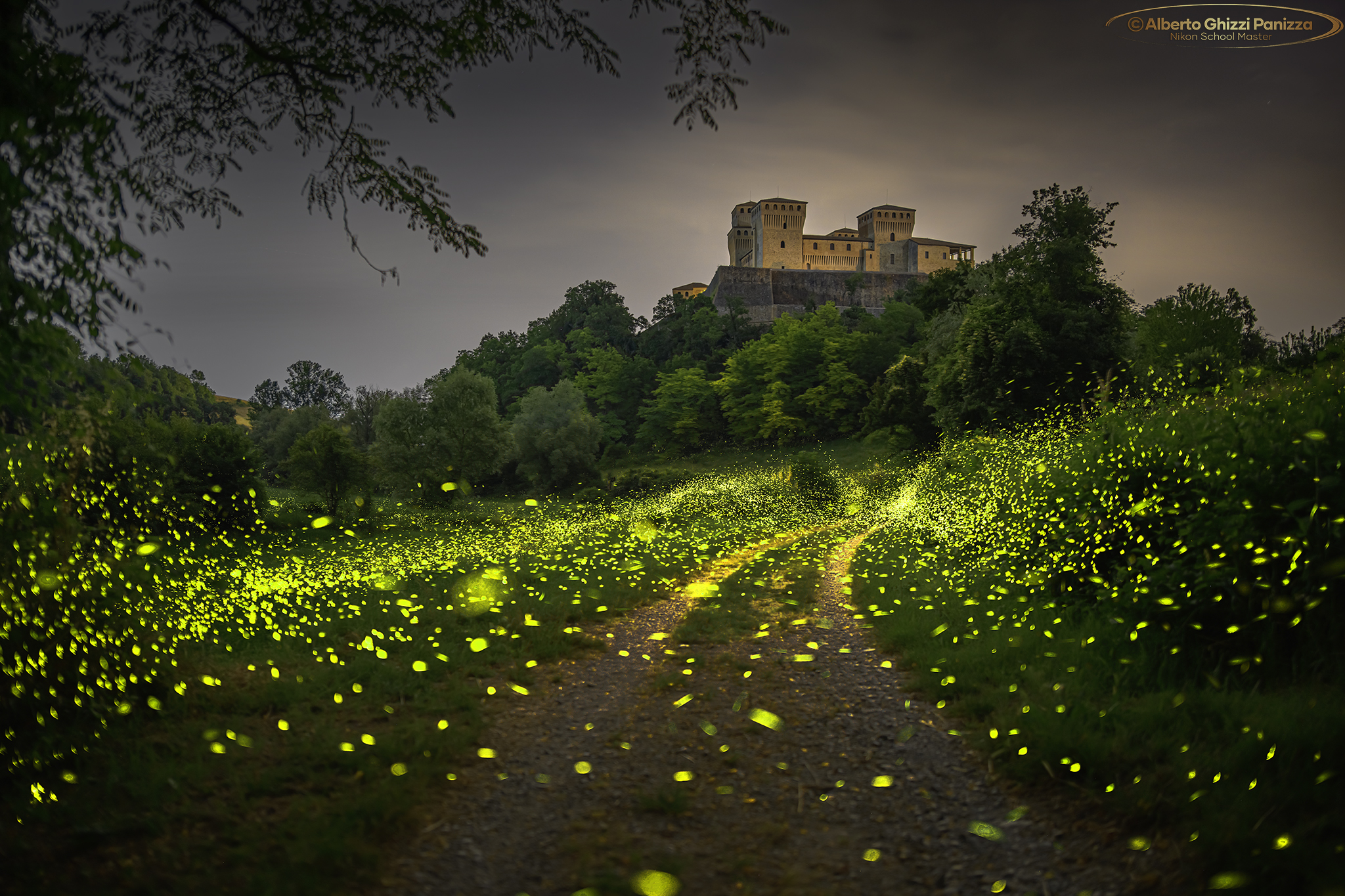 Torrechiara among the fireflies