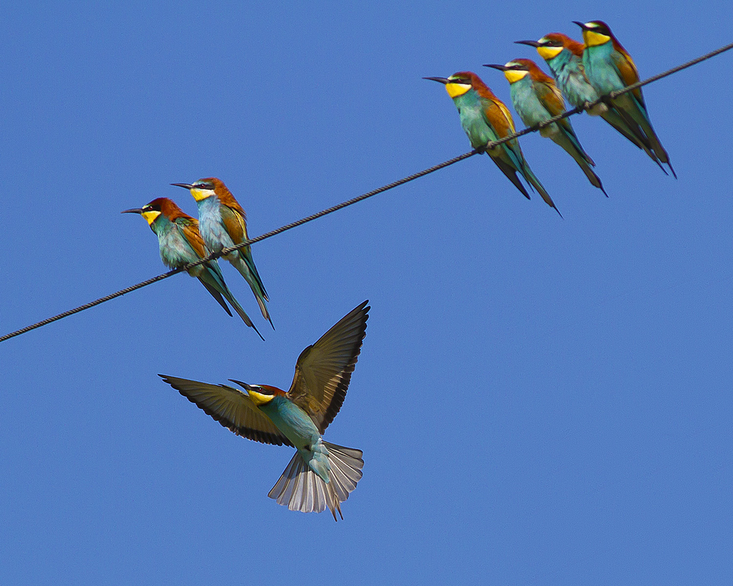 Scusate il ritardo...