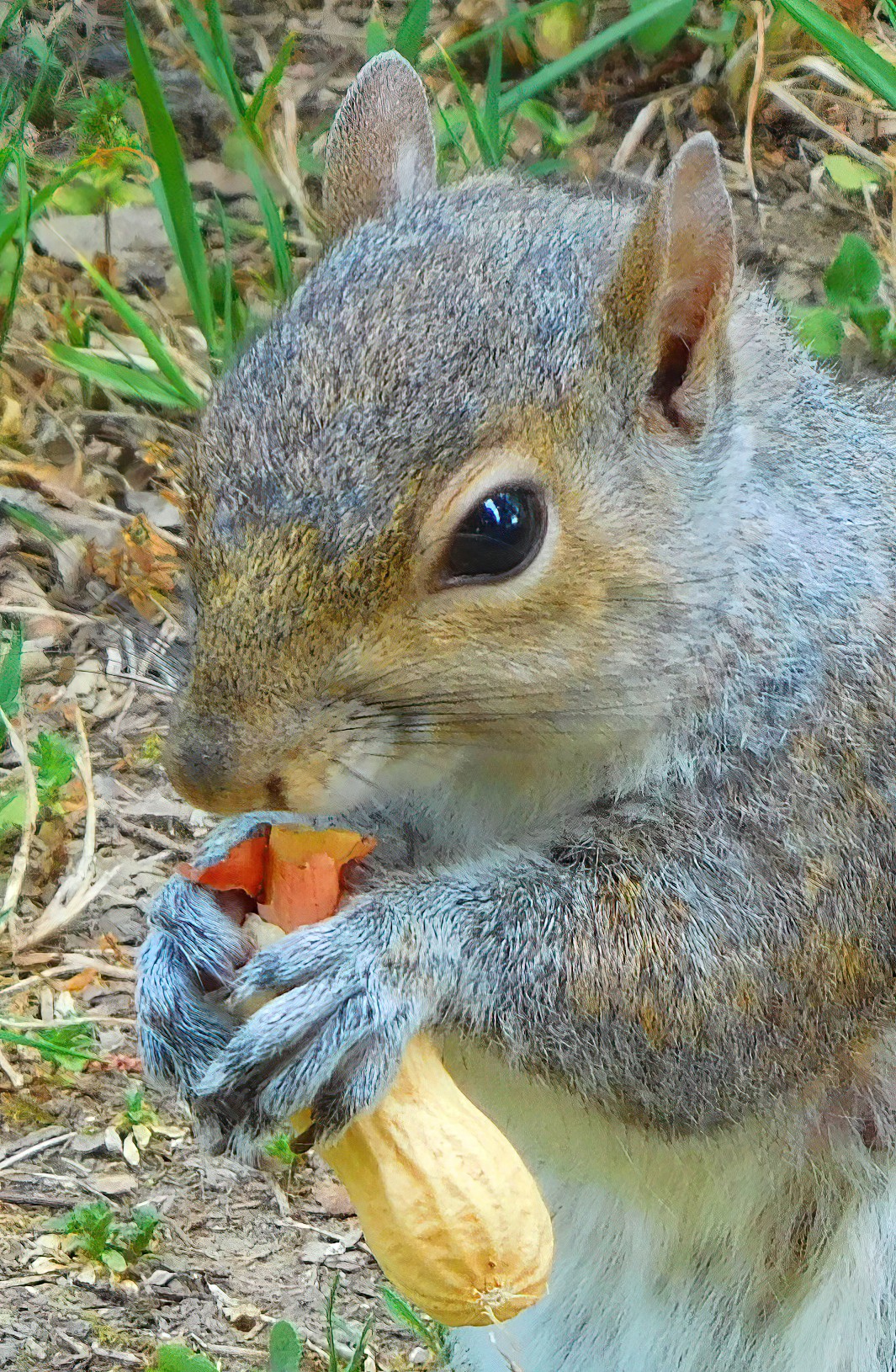Enjoy your meal my little friend
