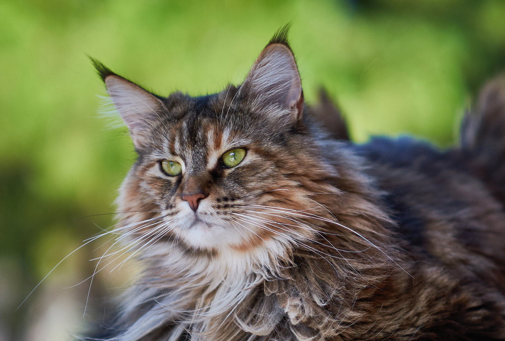 Green in the green...