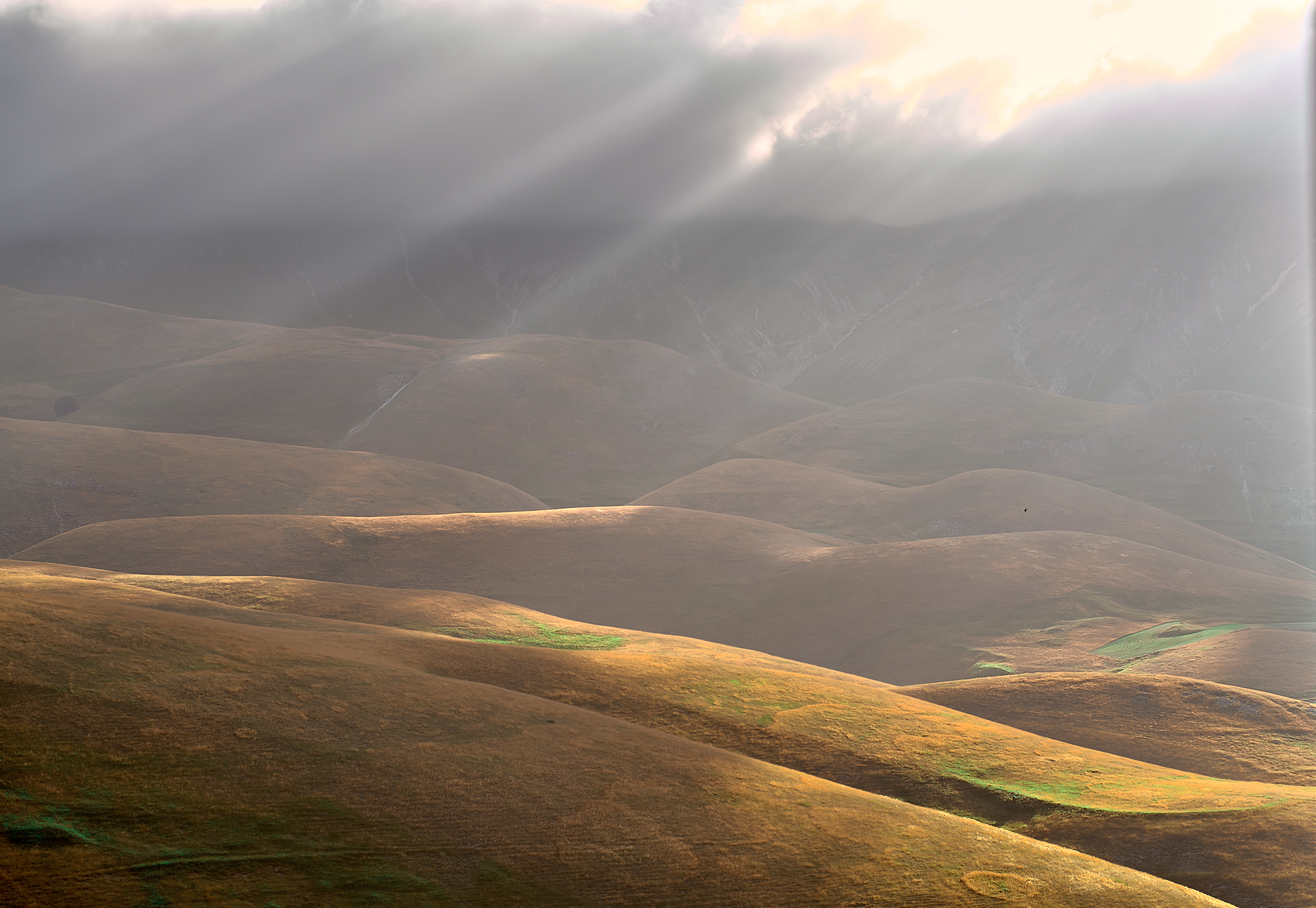 Only through the shadows is light known