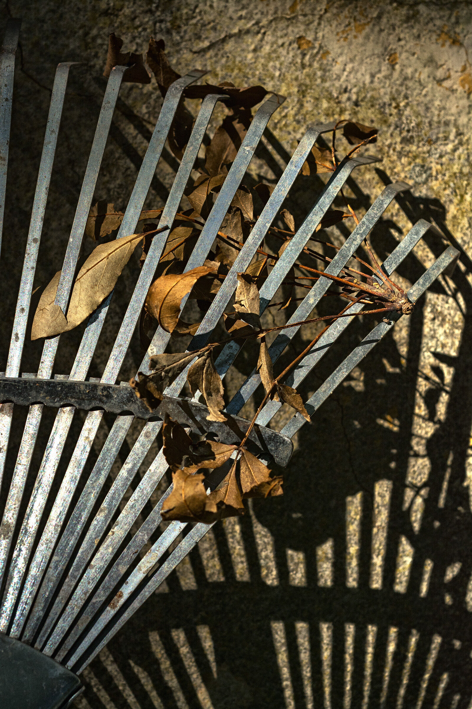 Untitled Photo
