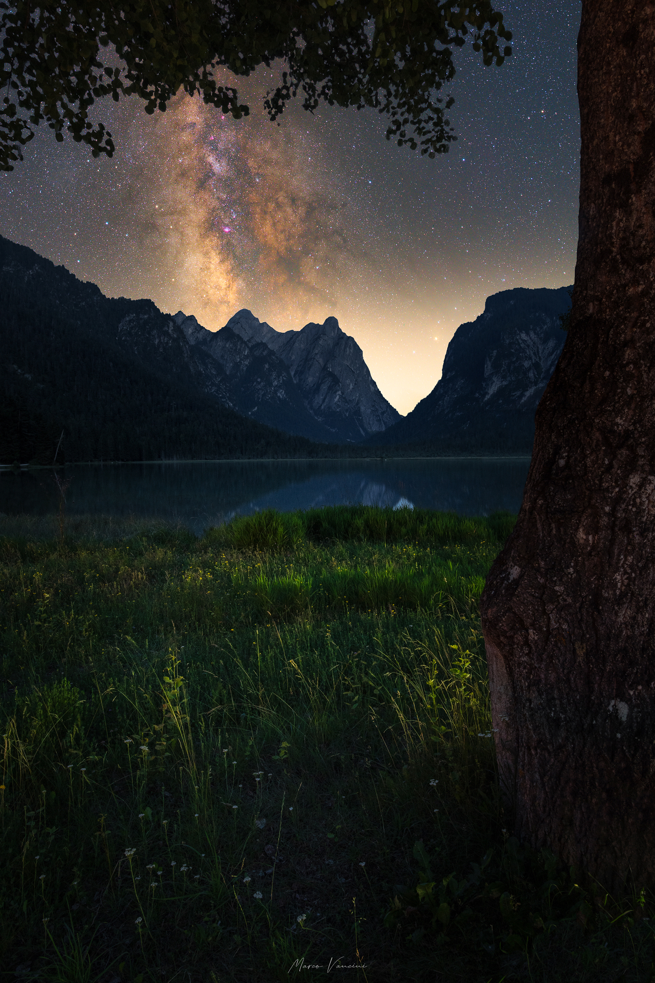 Dove brillano le stelle