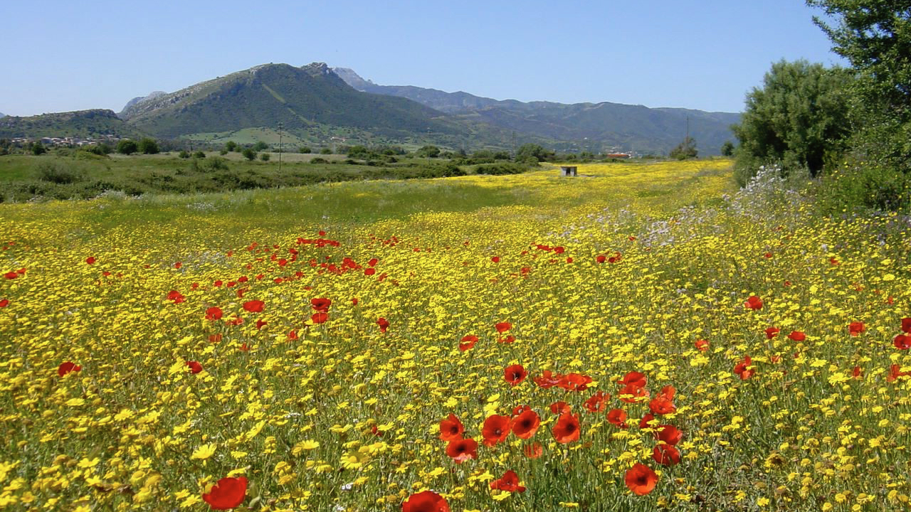 Spring in Sardinia