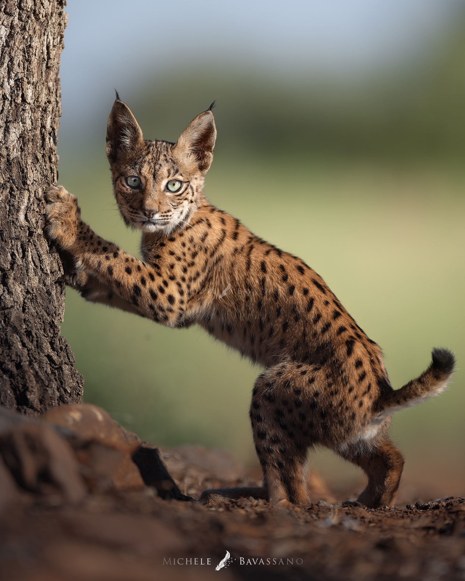 L'inizio dell'avventura