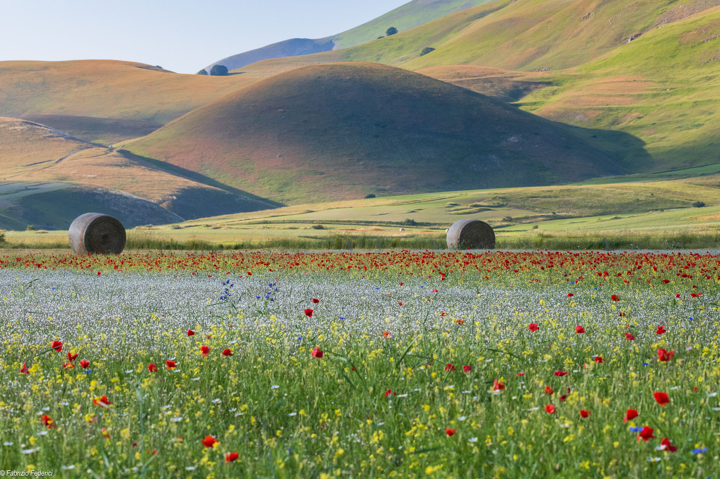 The white of Castelluccio