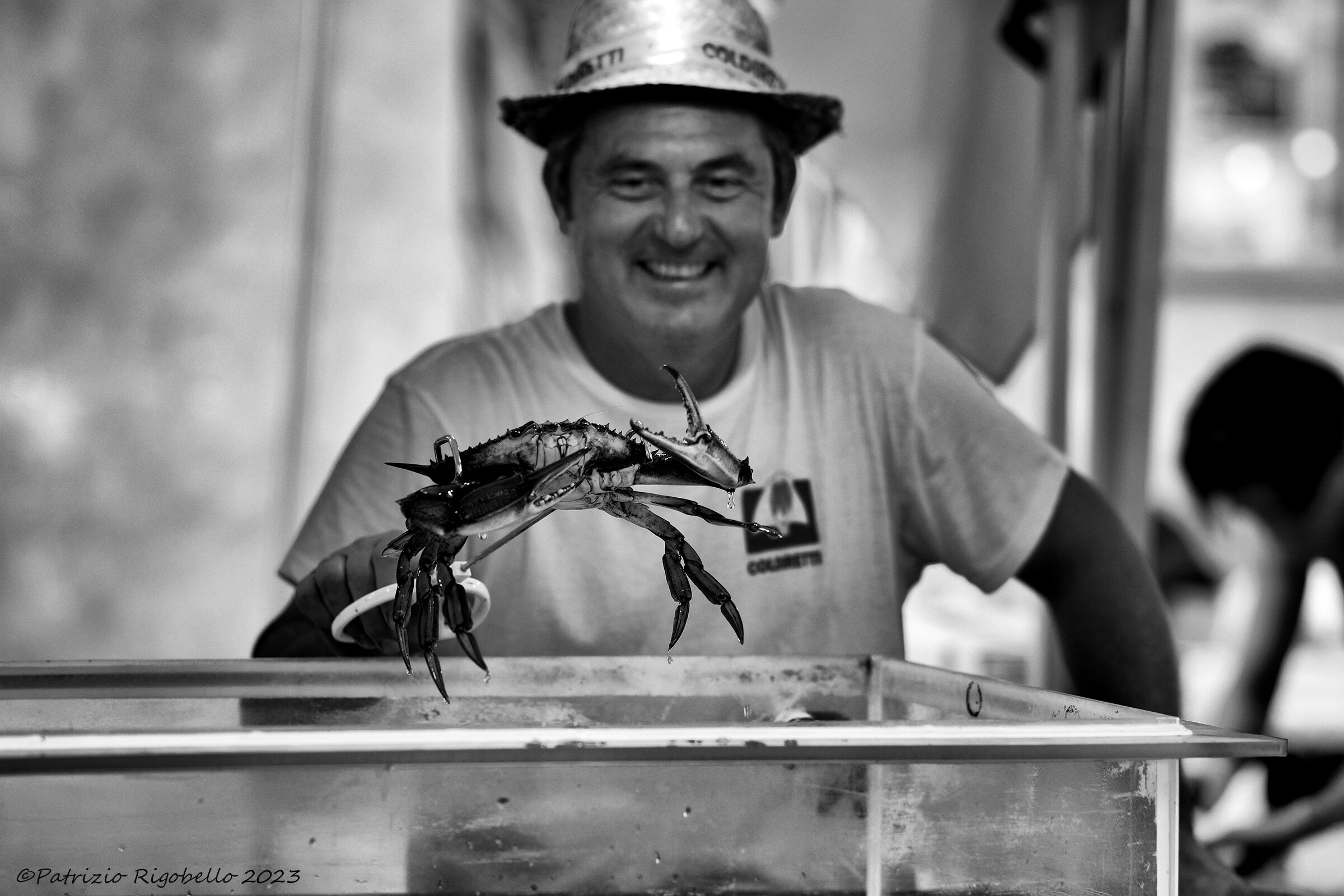 La piaga del granchio blu