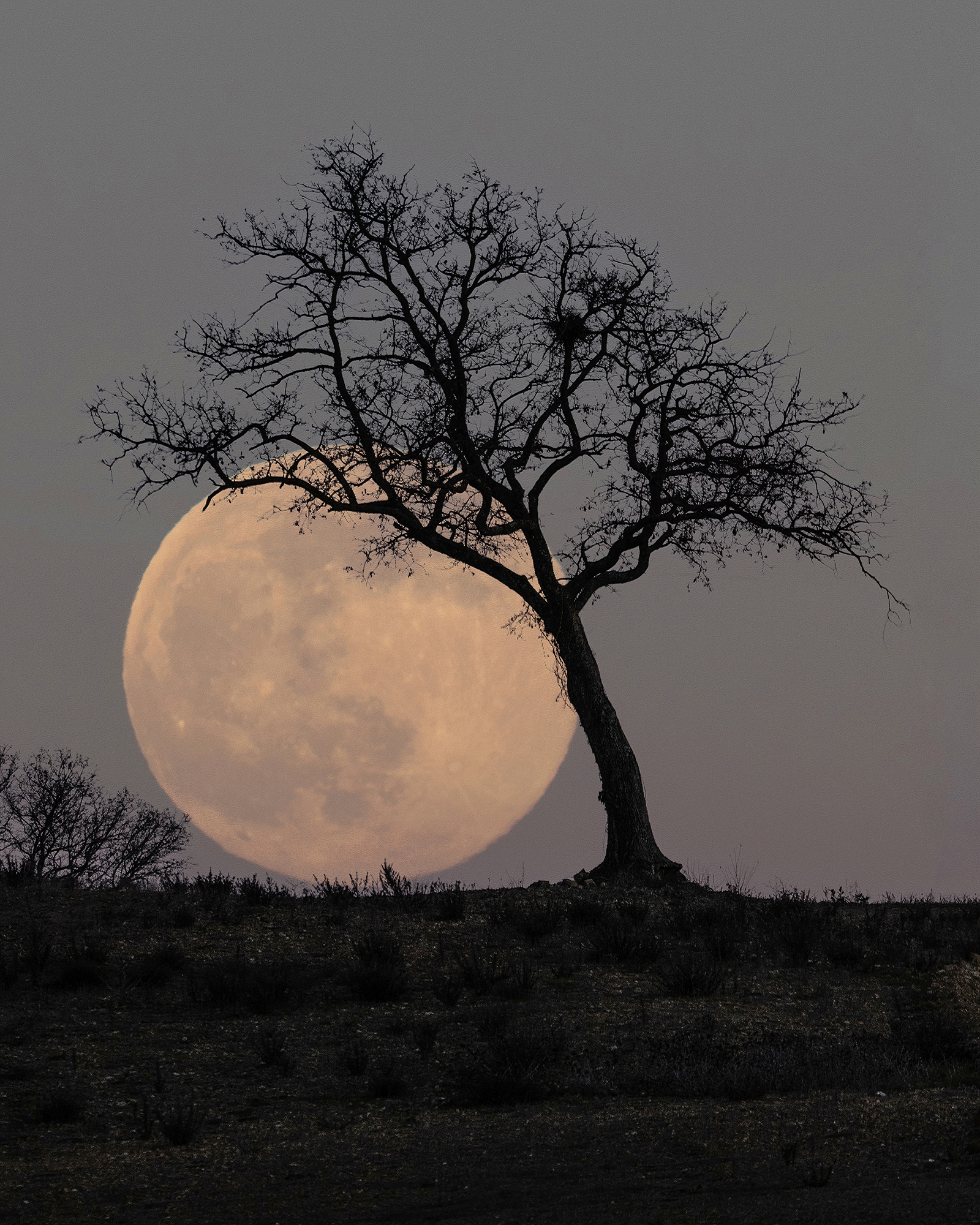 Spunta la luna dal monte