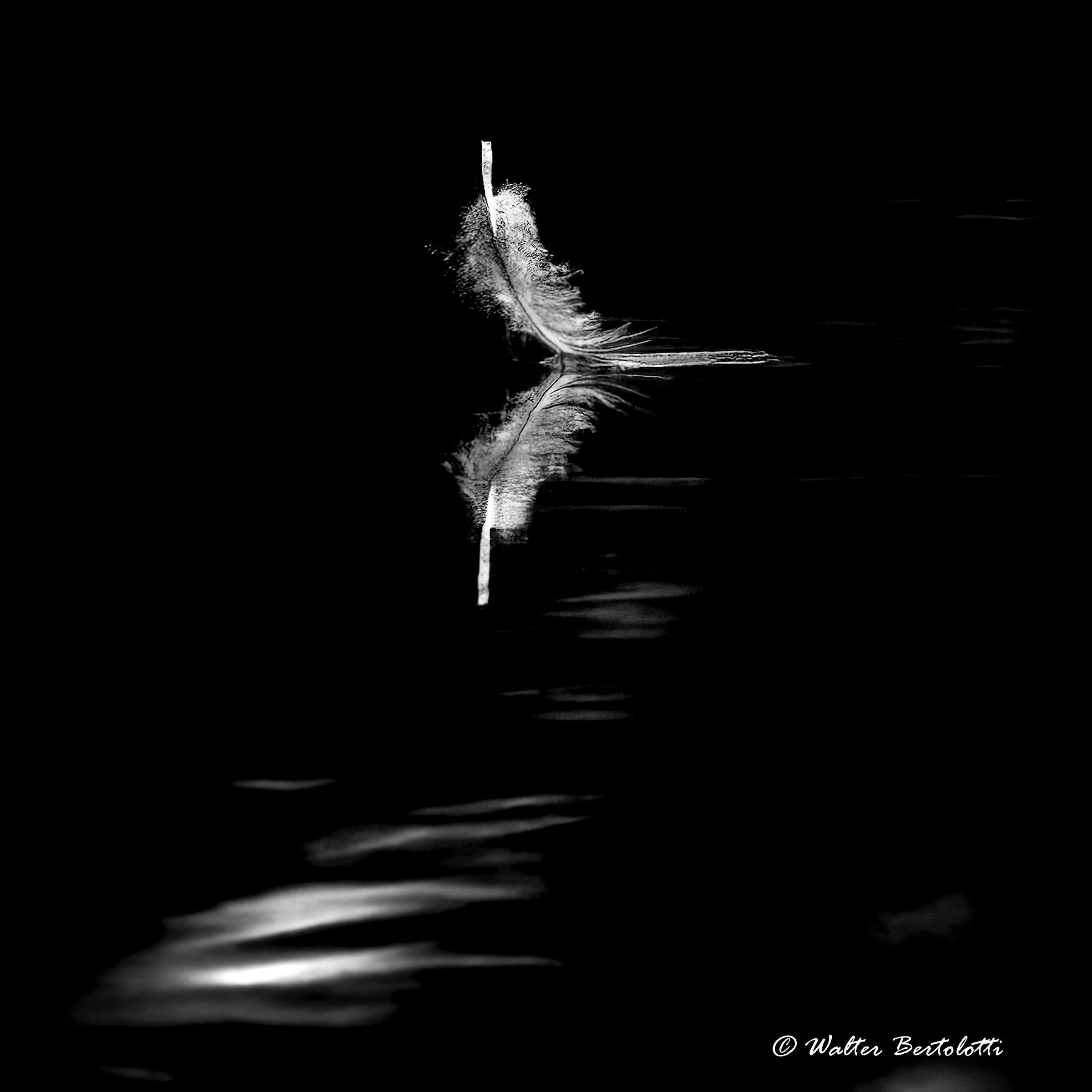 LIGHTNESS