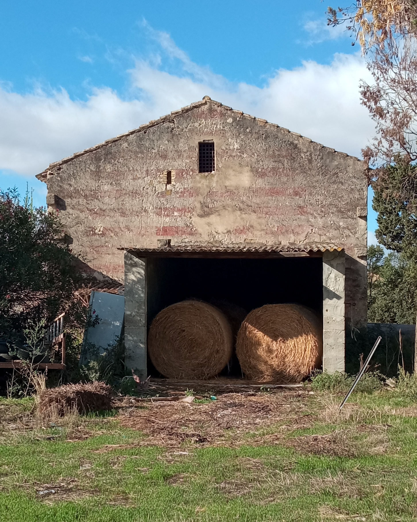 Senza Titolo