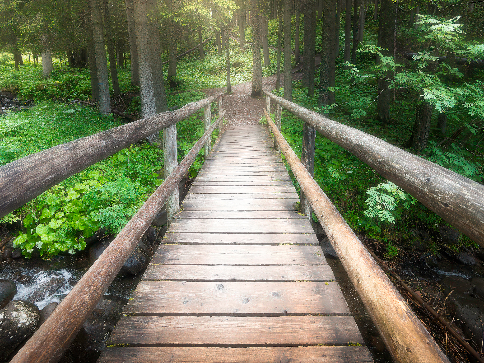 Mountain Bridge