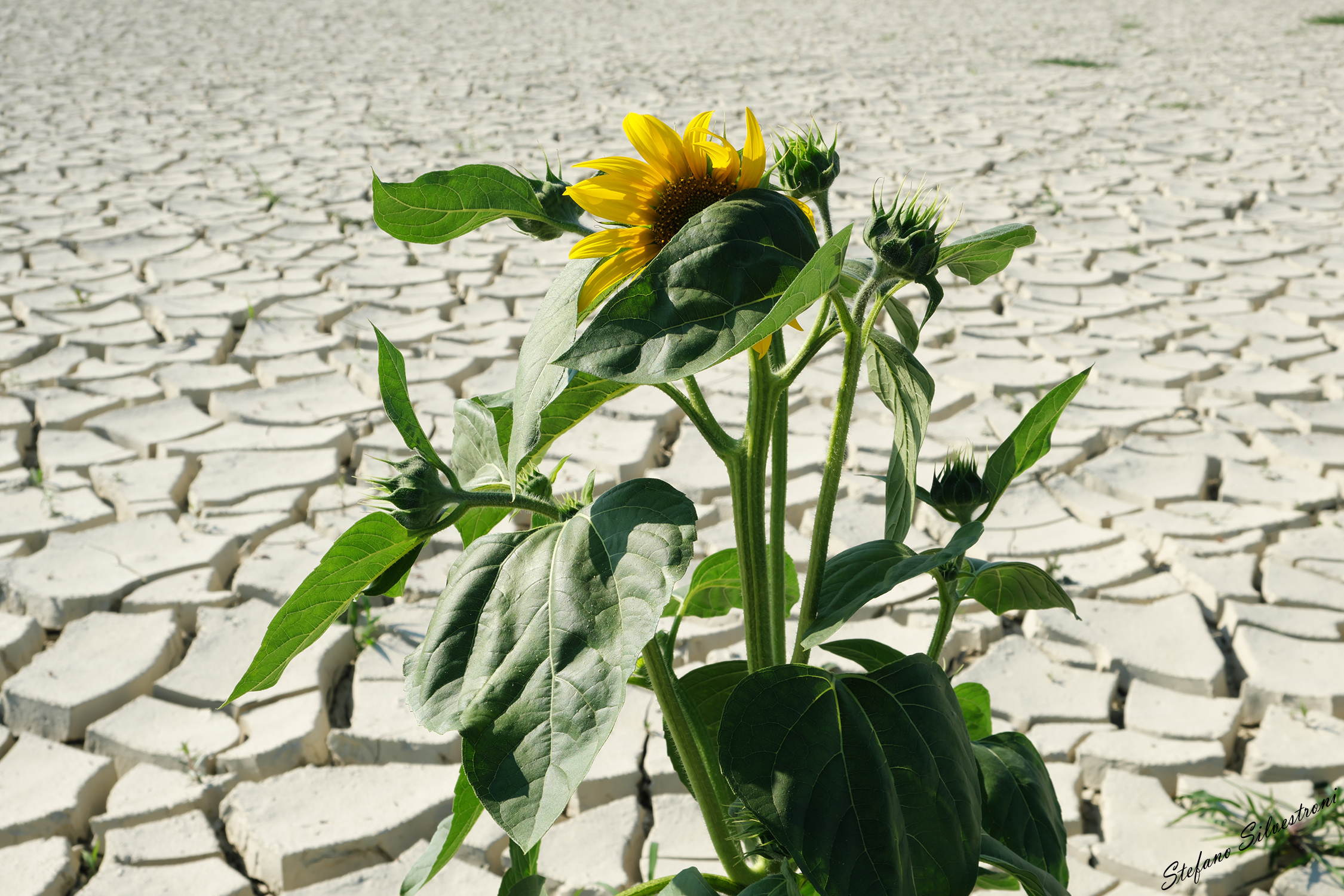 Soli... rischiamo di sentirci soli!