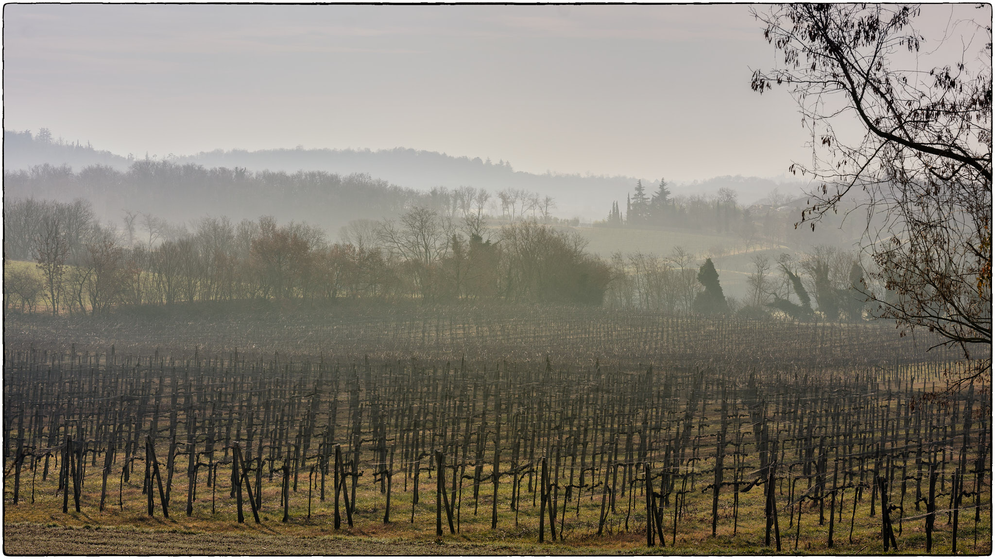 Mists in Valtenesi