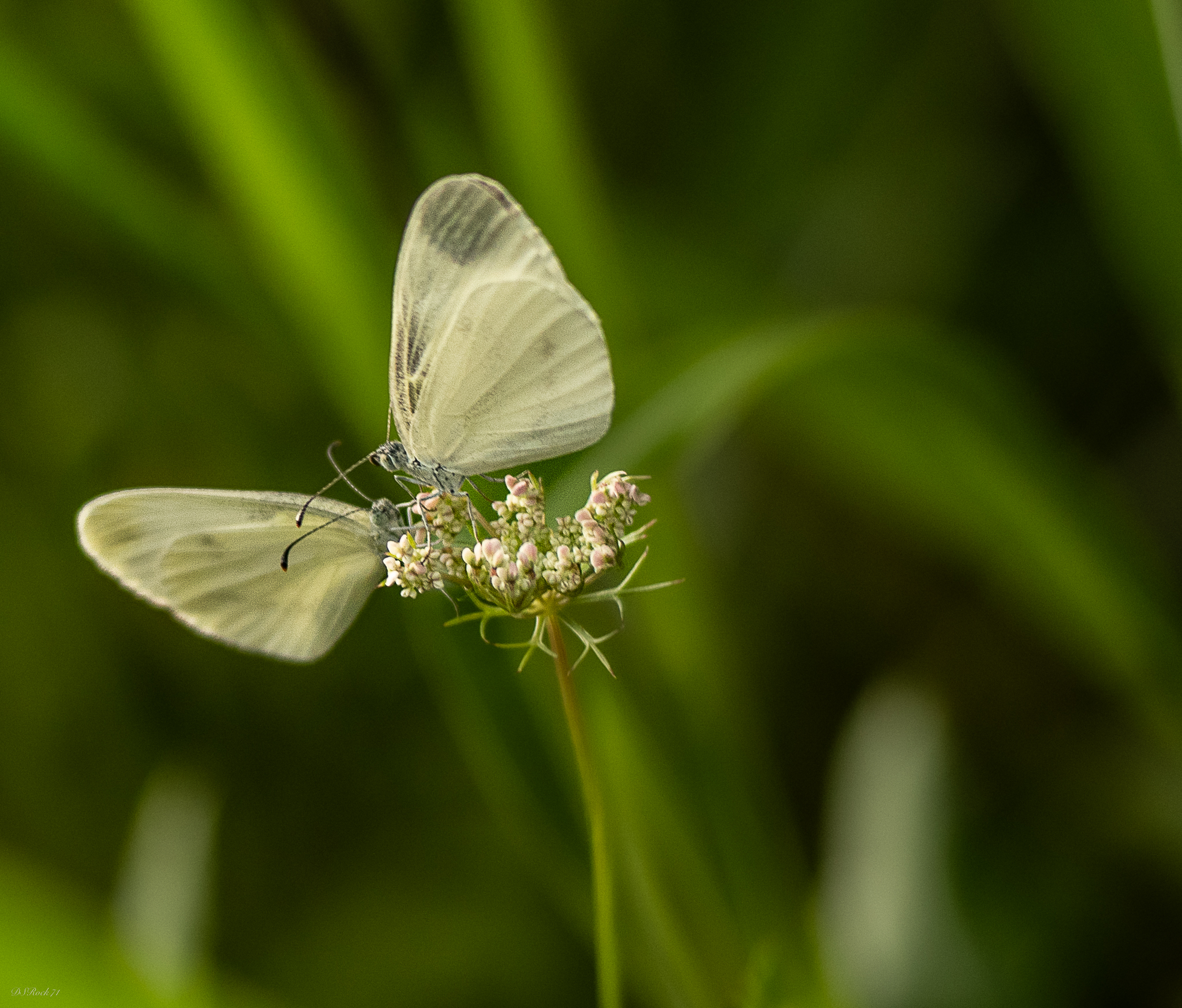 Approach and conversation