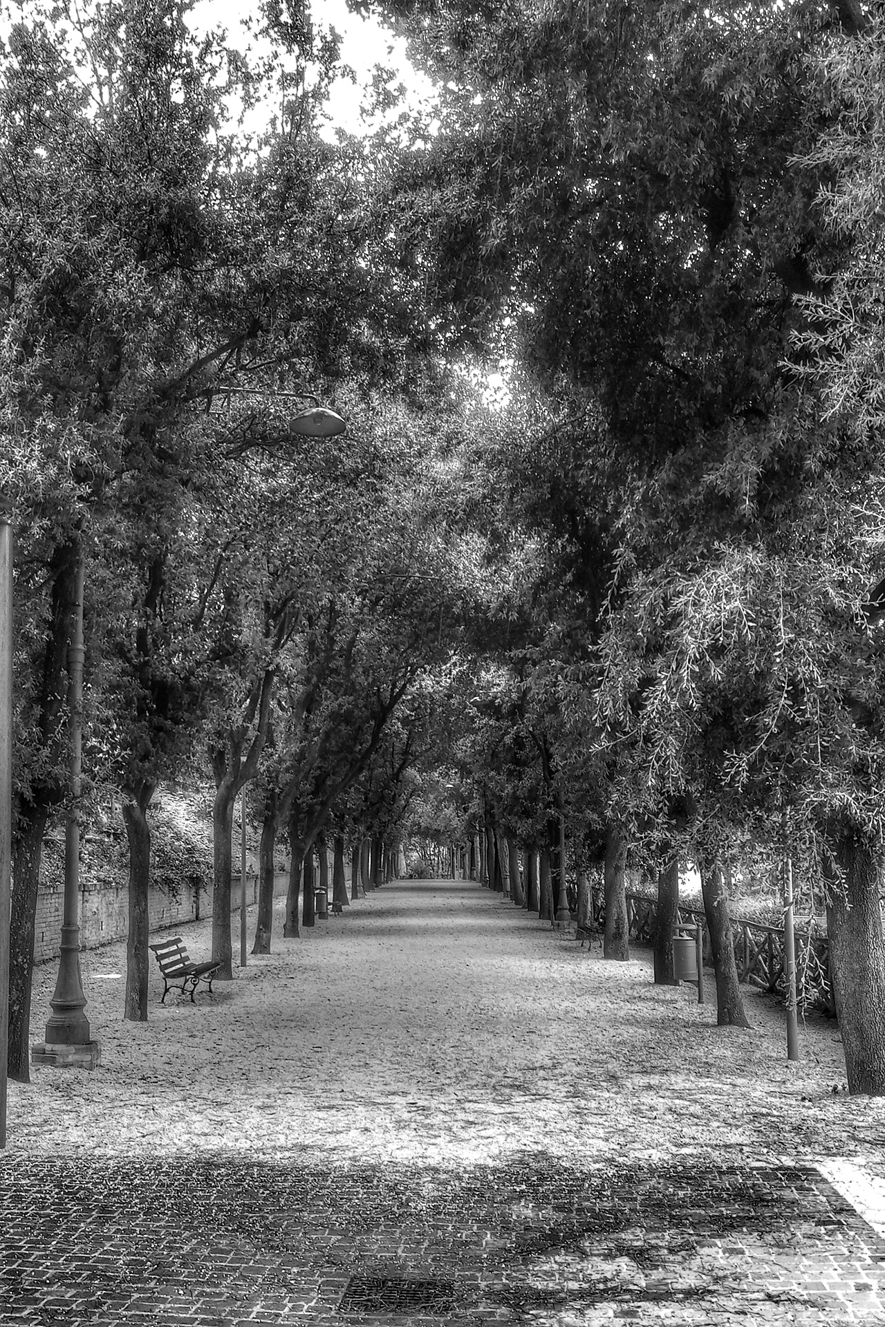 il viale dell'ermo colle