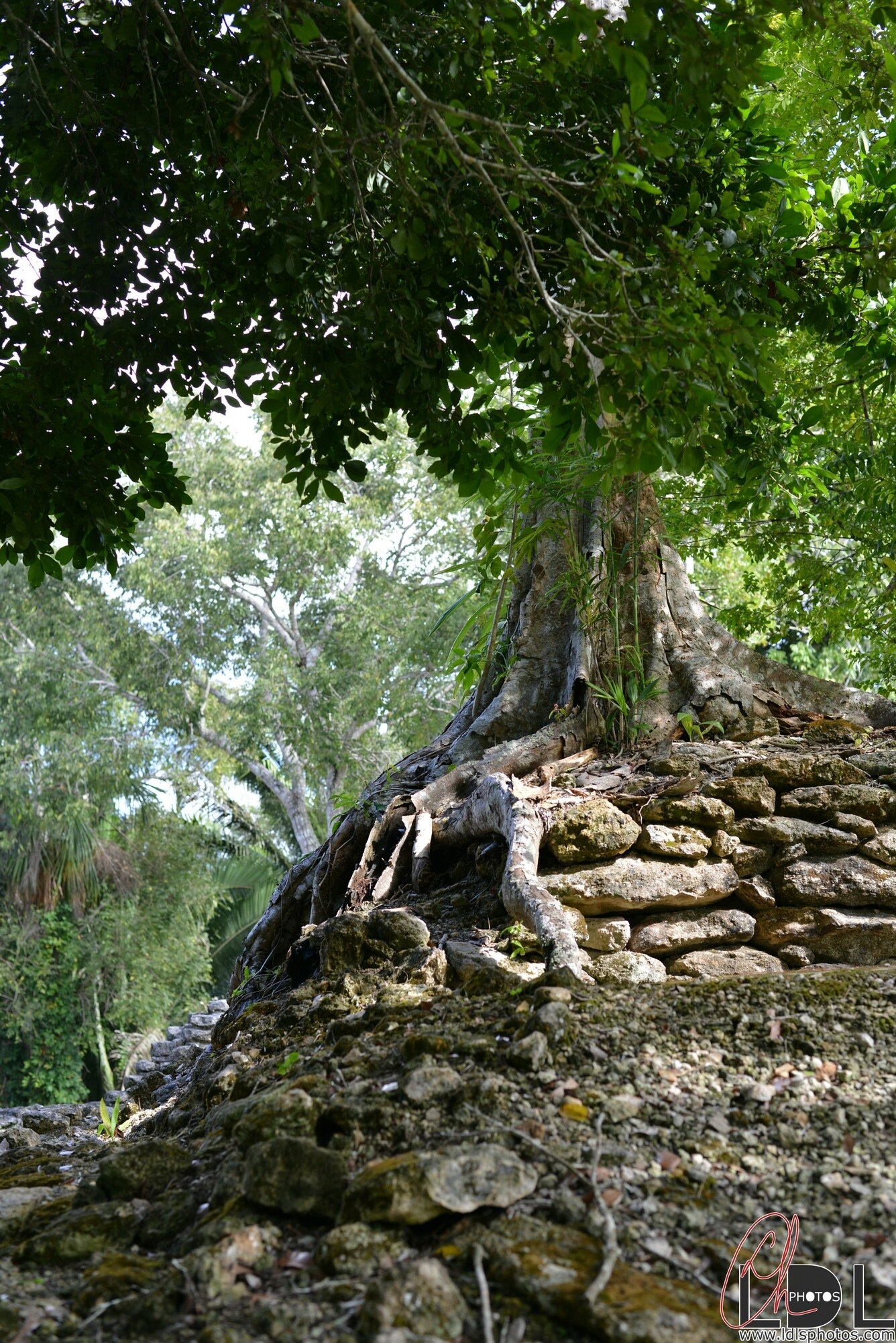 Natural and artificial