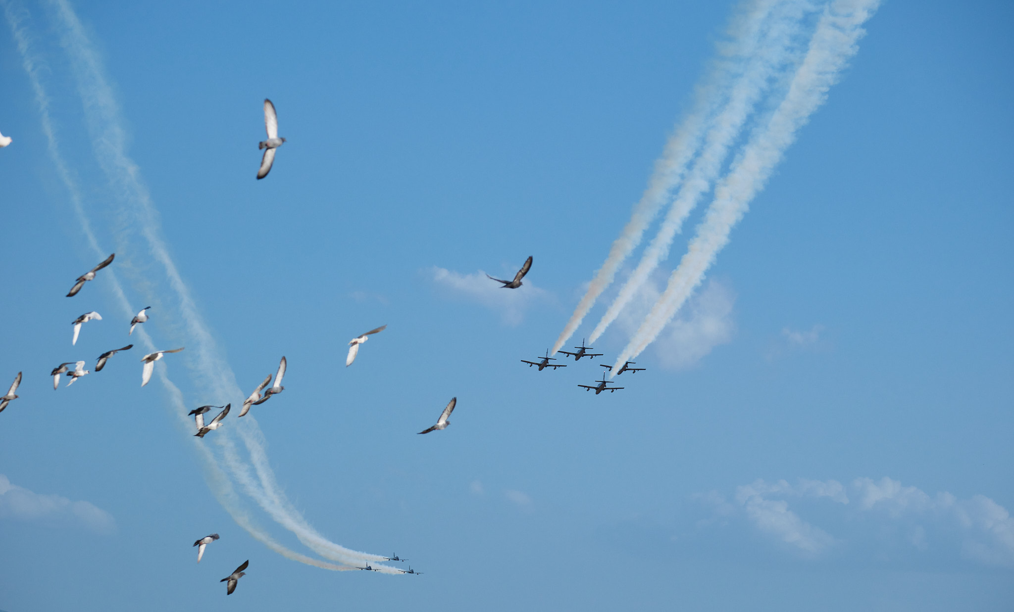 frecce tricolori a Foligno