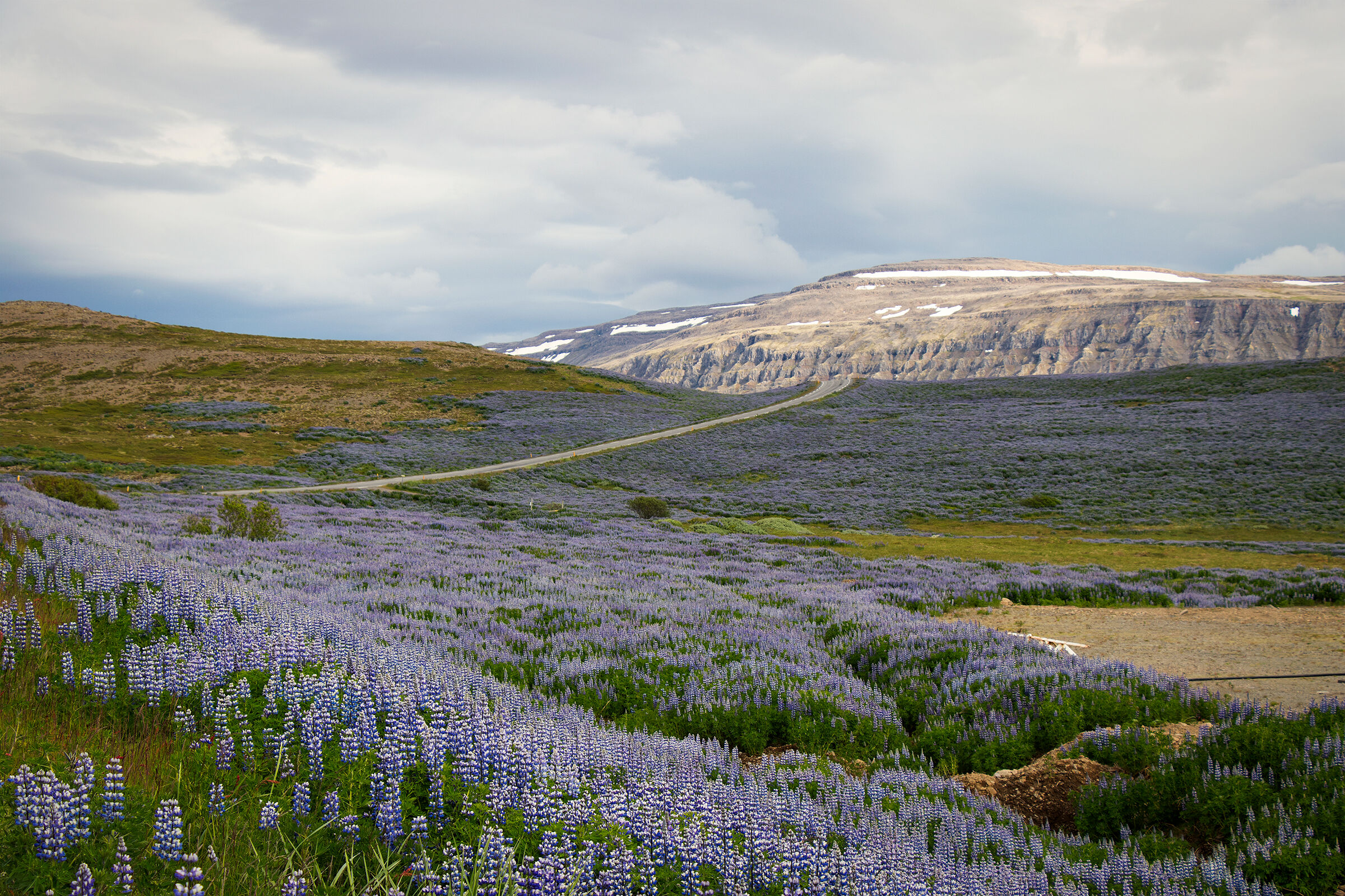 Westfjords