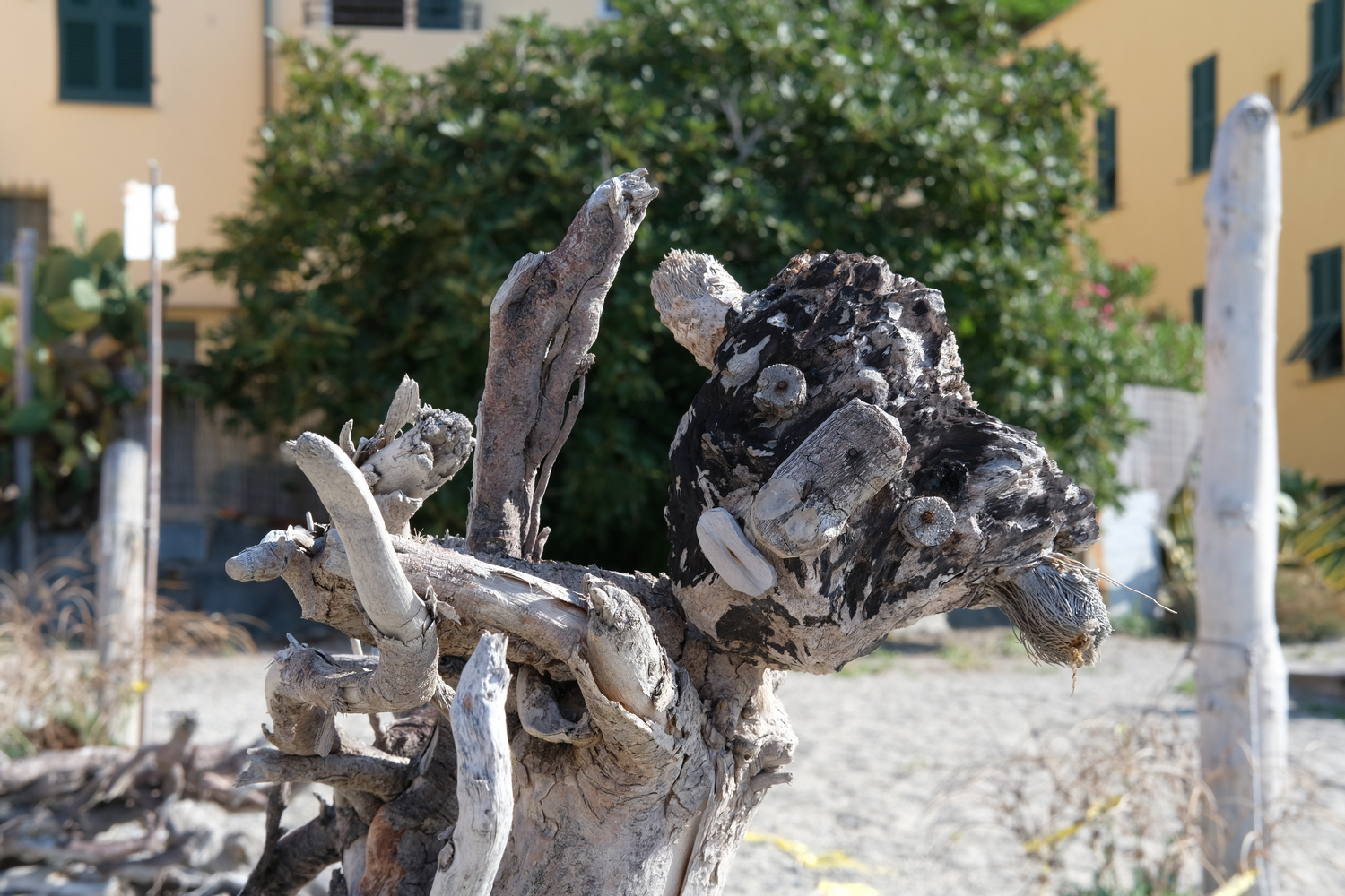 Strani animali a Varigotti