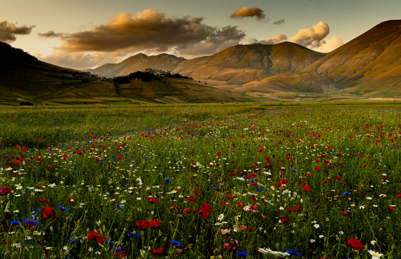 Gli ultimi rimasti   Castelluccio di Norcia