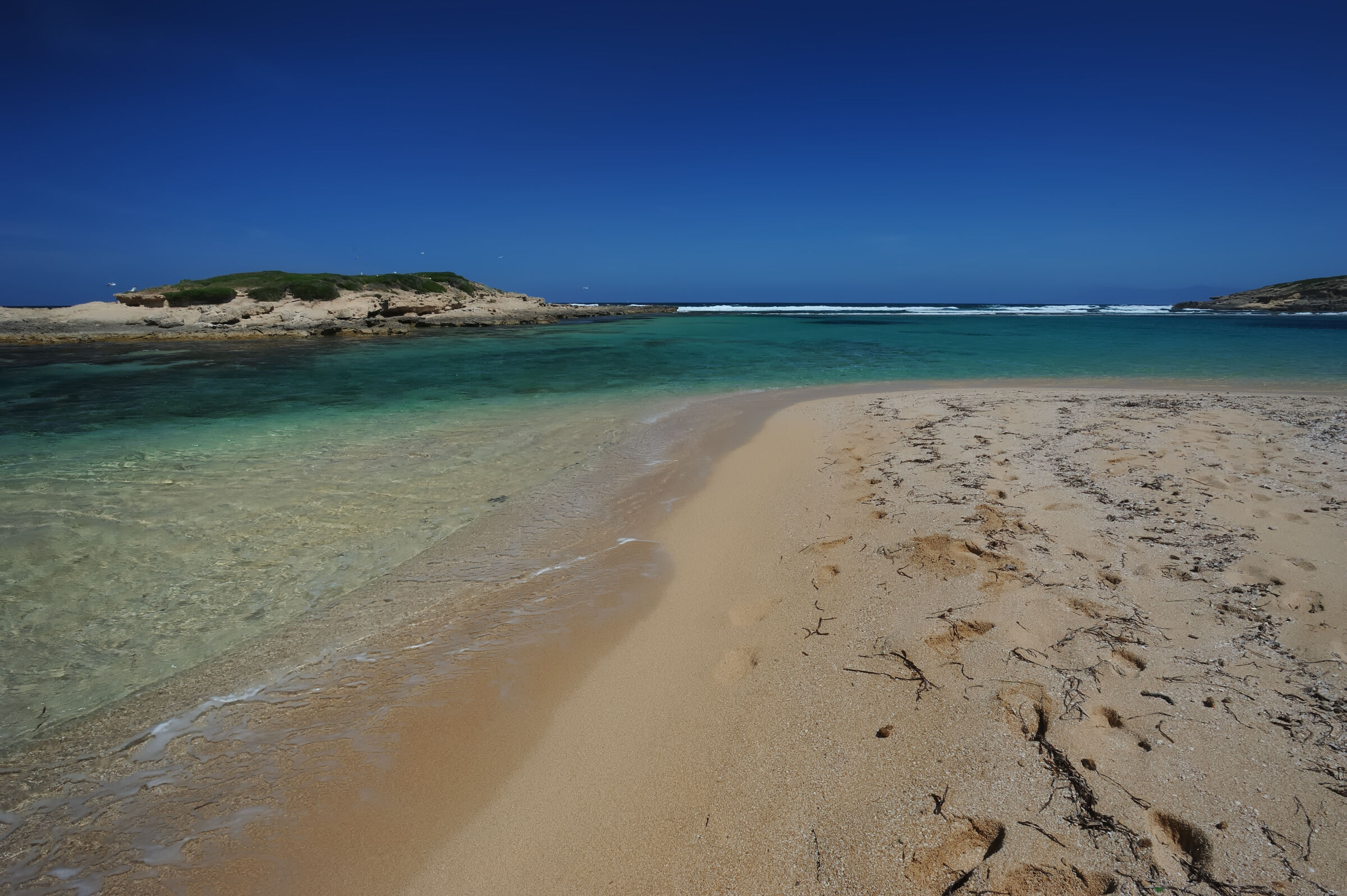 Colori e suoni della Sardegna