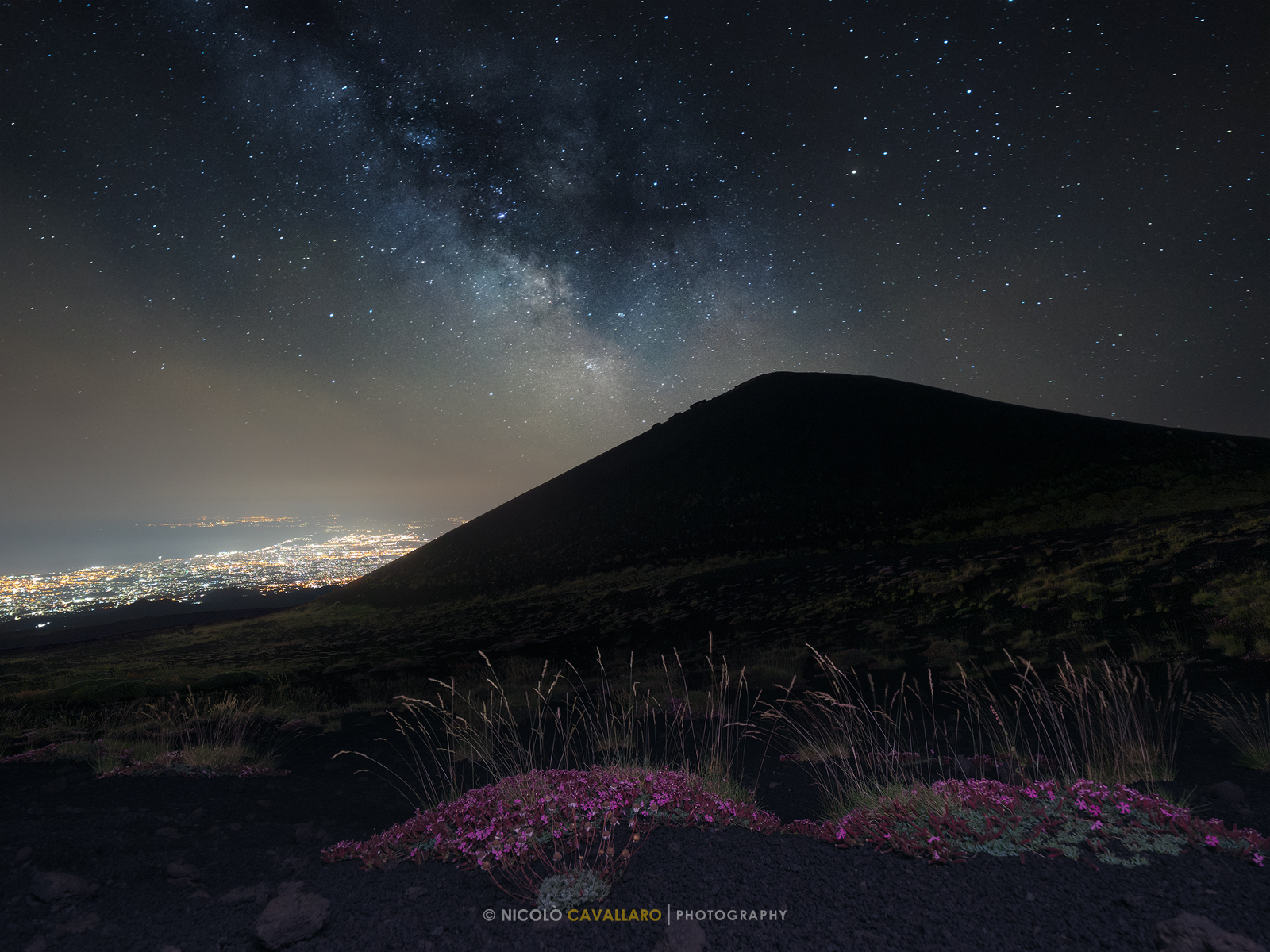 Milky Way with Saponaria dell'Etna