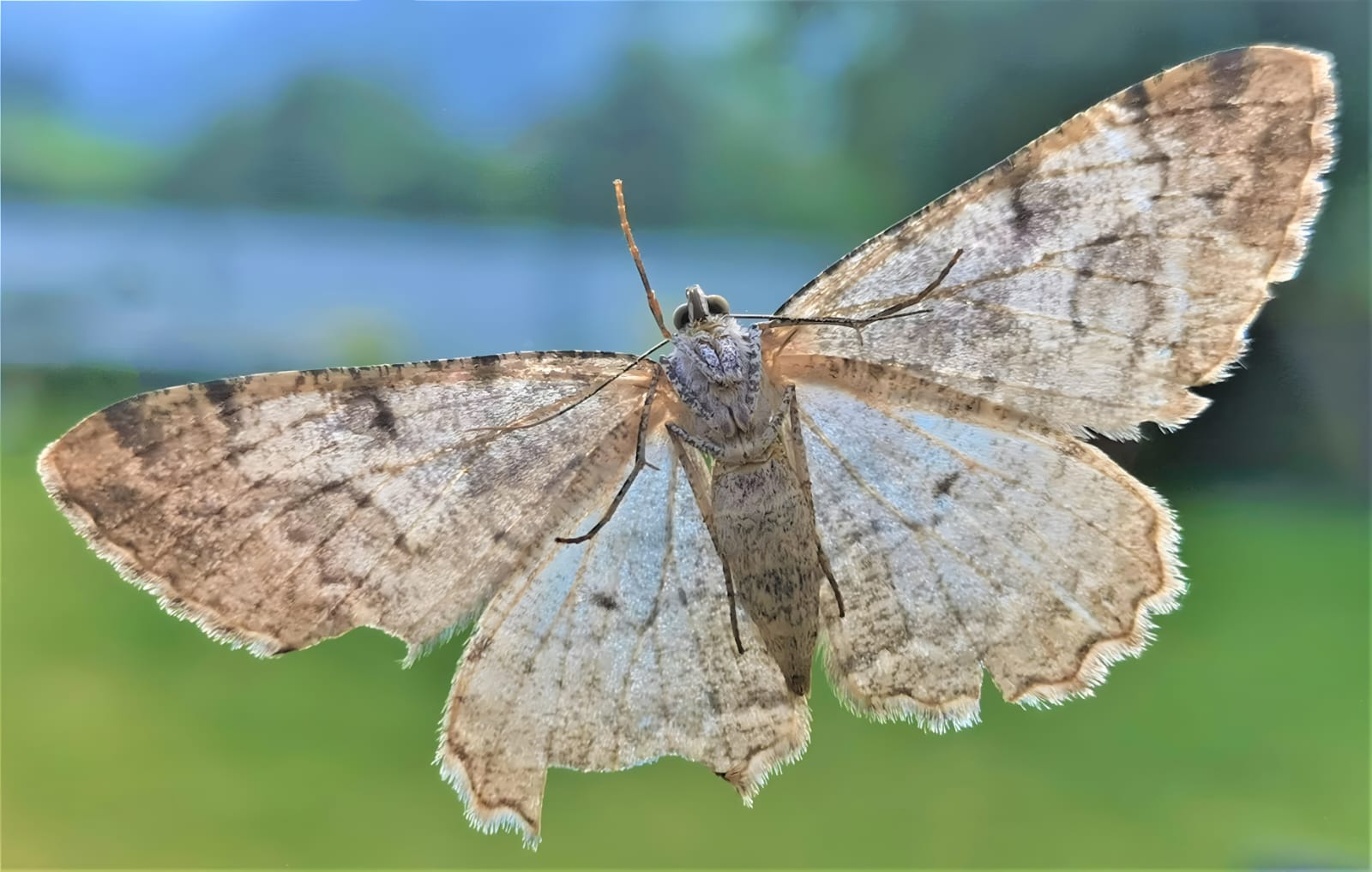 Up the window, I went inside and she furied.