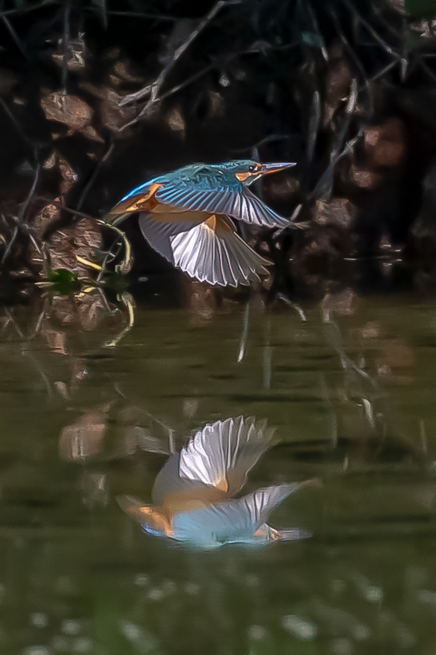Riflesso al volo