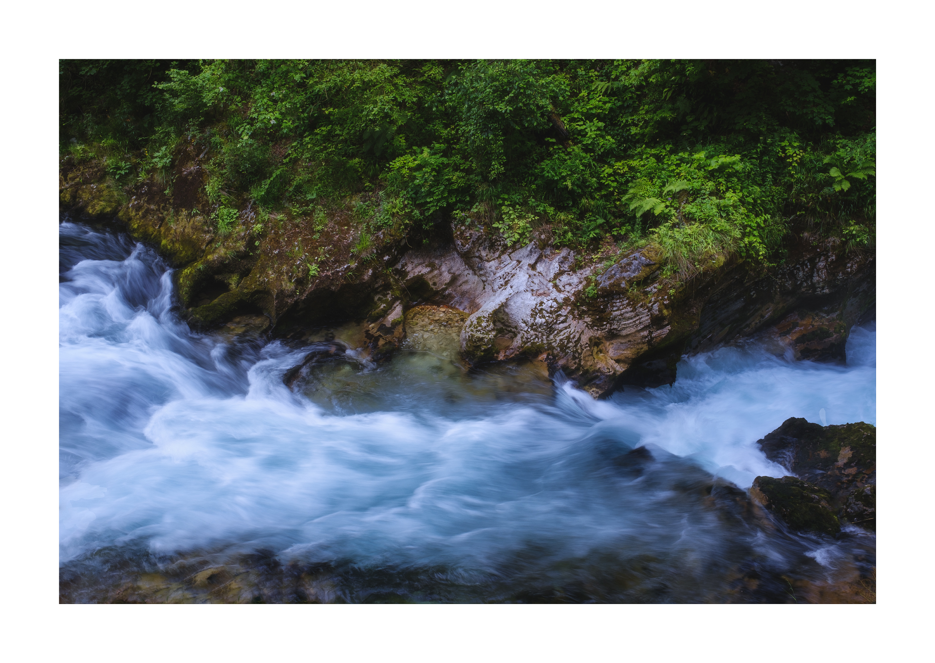 Untitled Photo