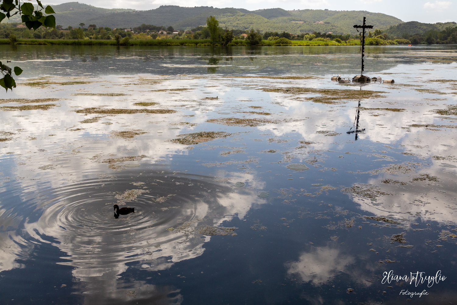 Sacred water paradise
