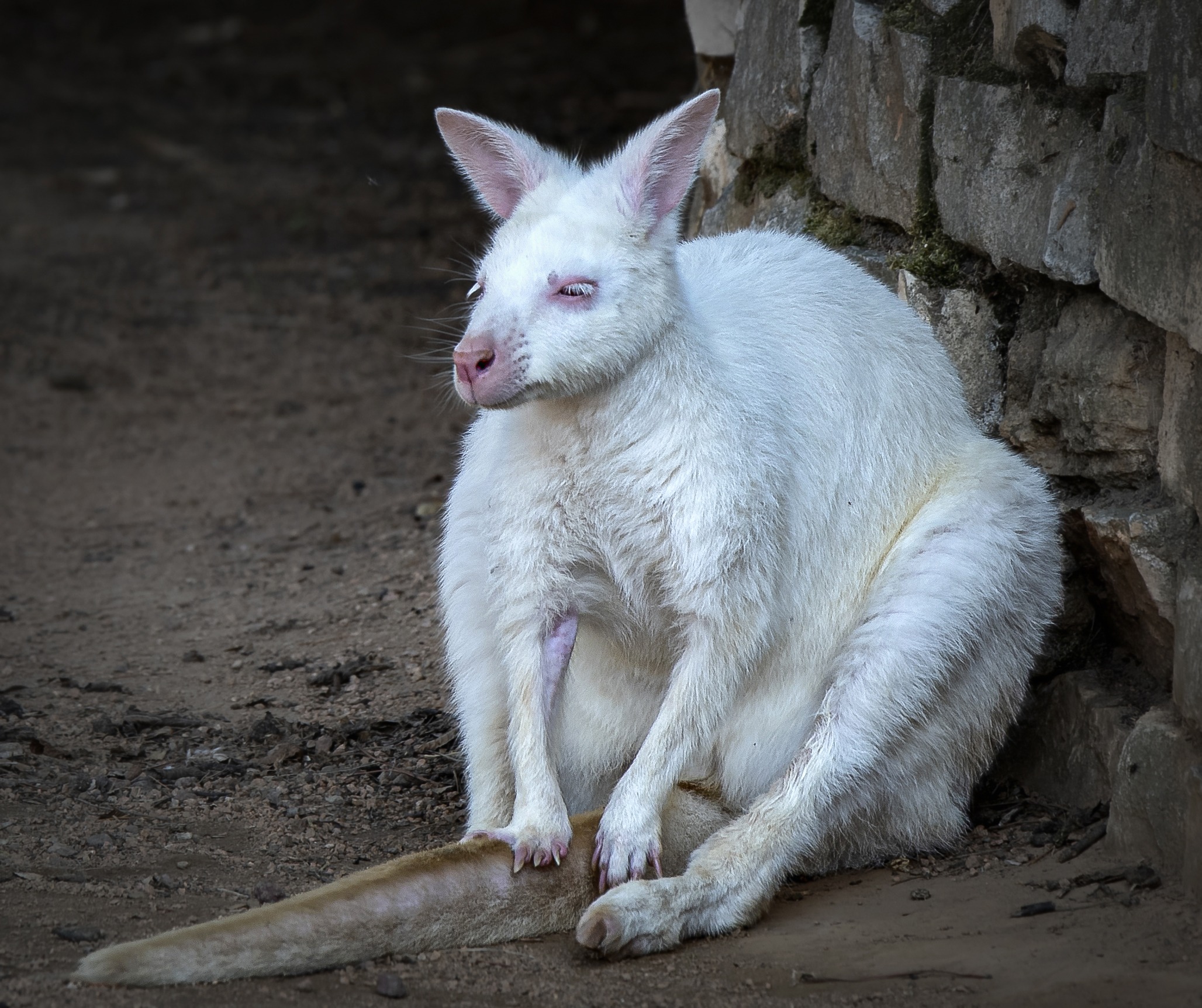 Self-resting