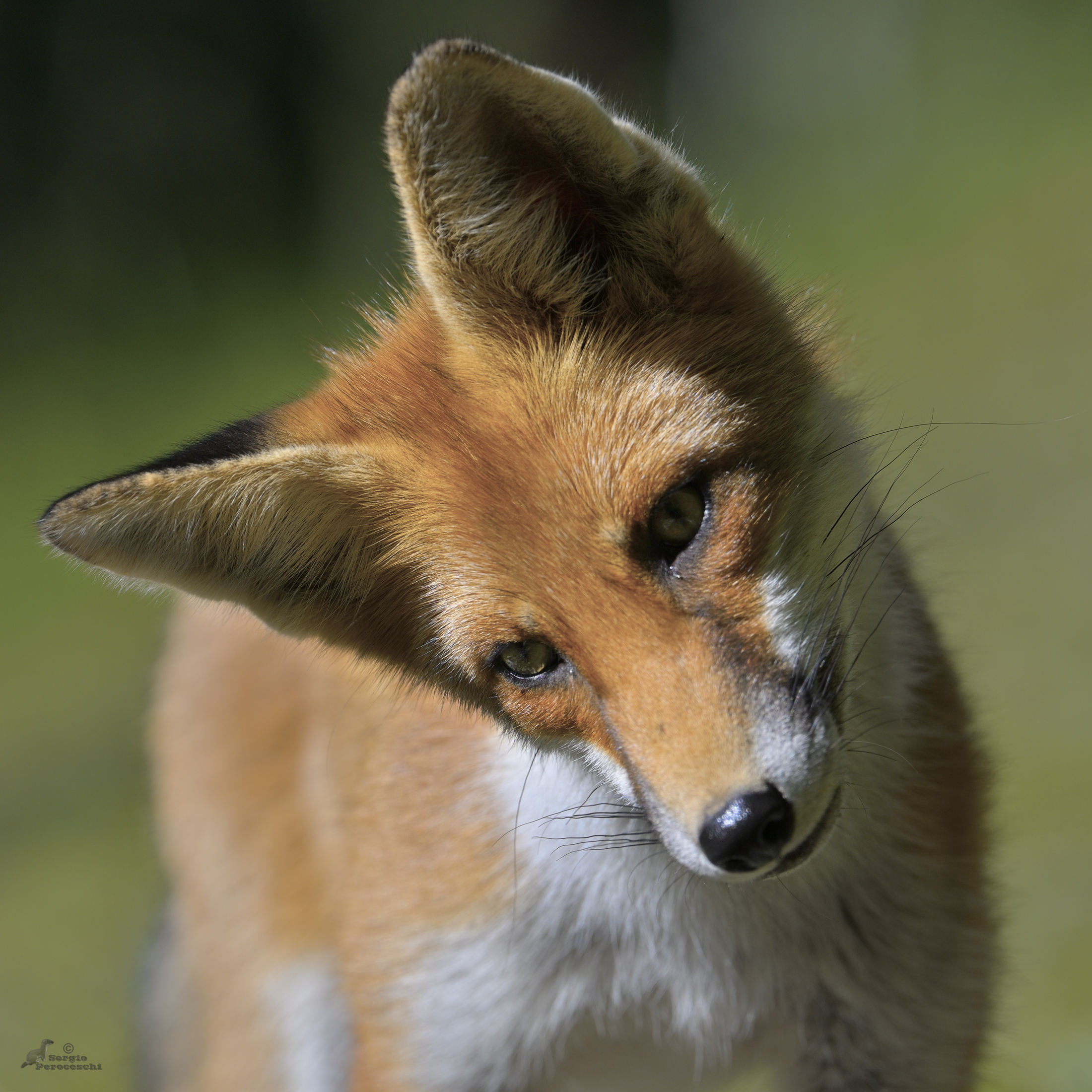 Who knows what he thinks