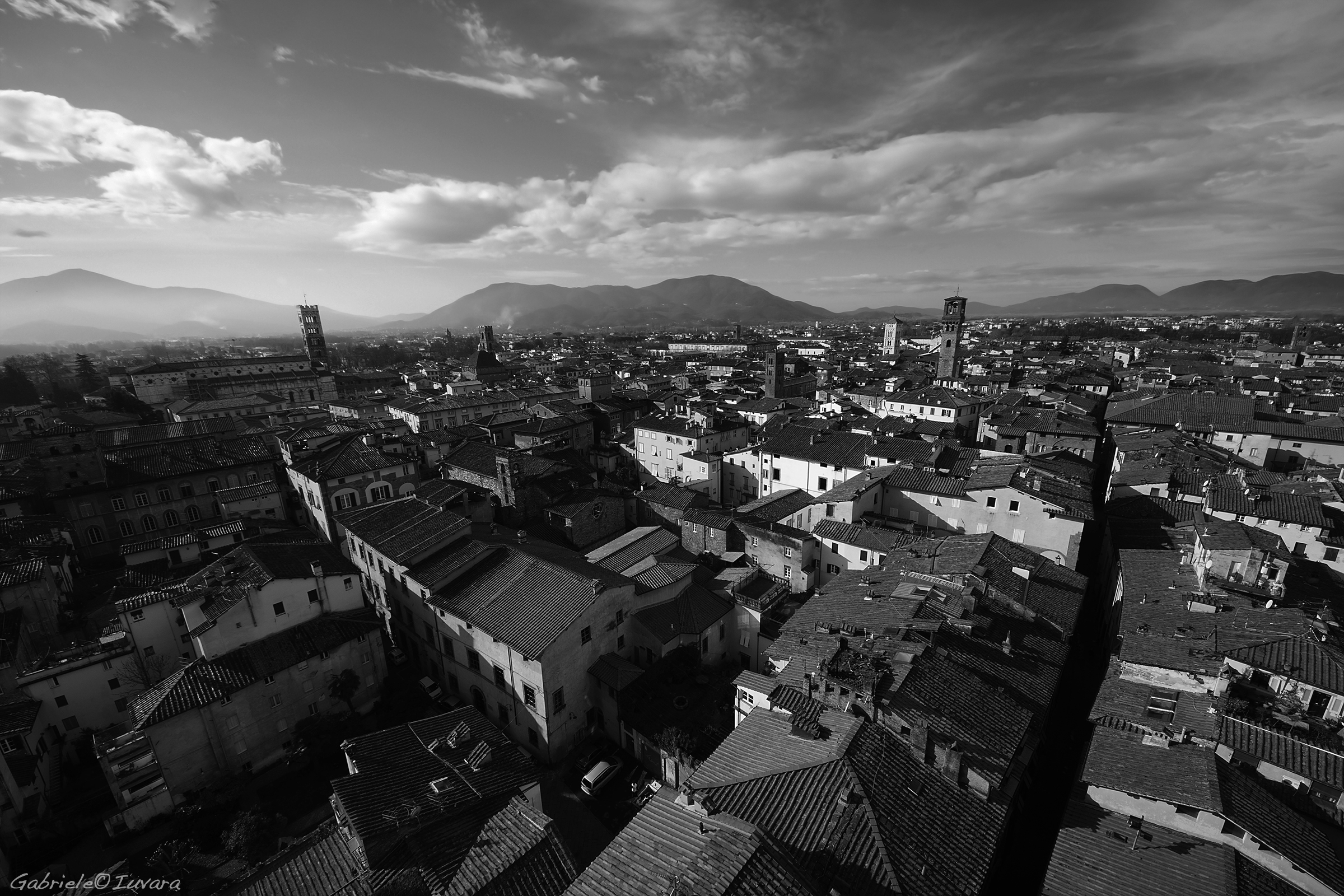 Lucca View from the tower Guinigi