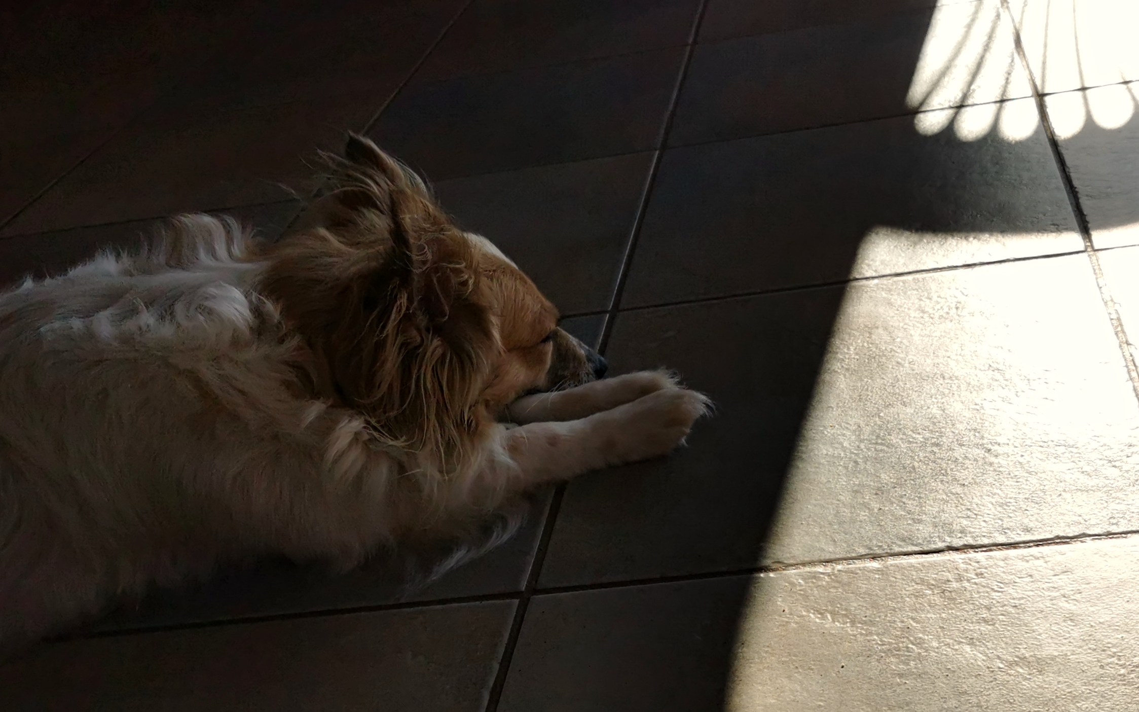 Test 6 Huawei P30Pro