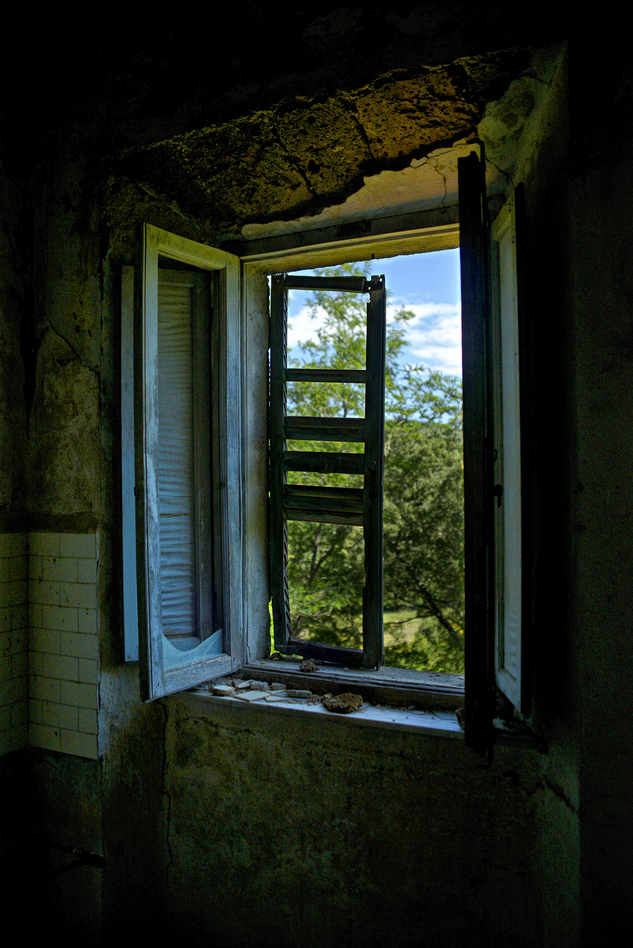 Untitled Photo