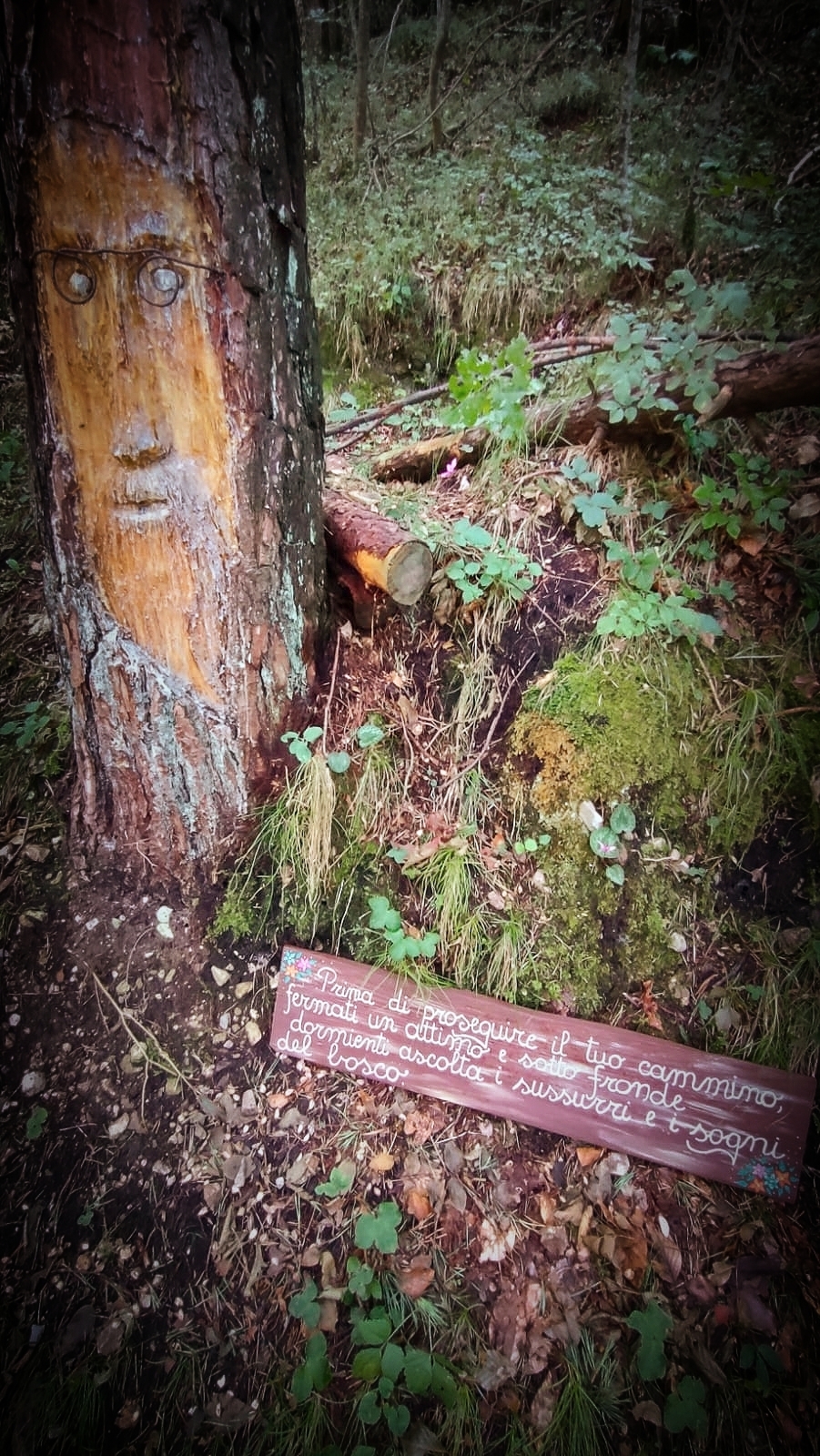 Words from the forest