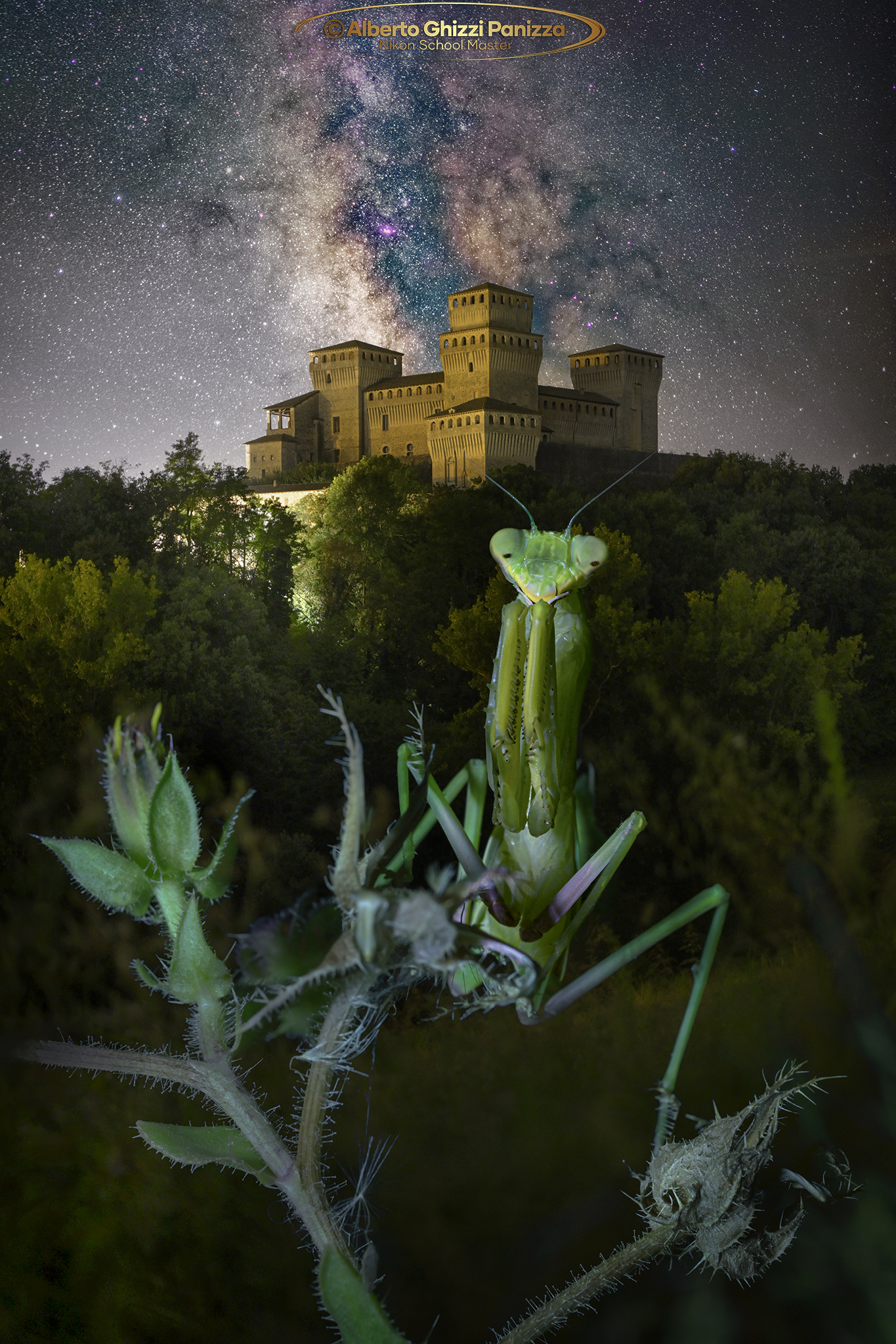 La mantide, il castello e la Via Lattea