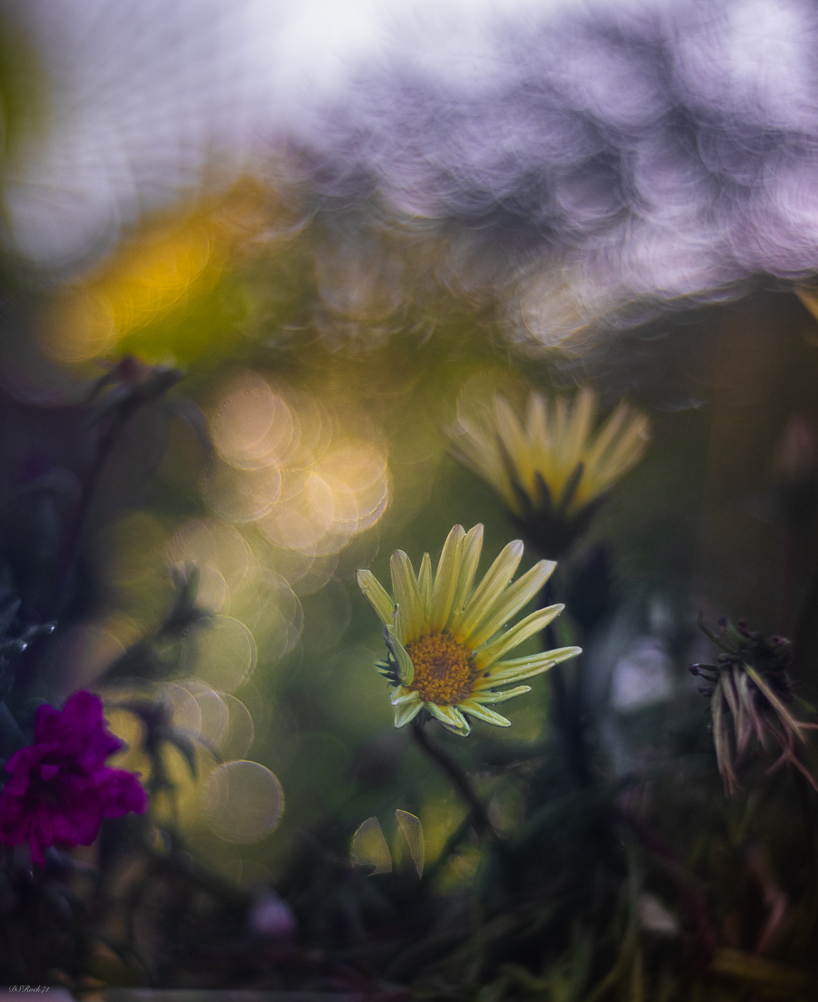 bubbles, bubbles, bubbles !