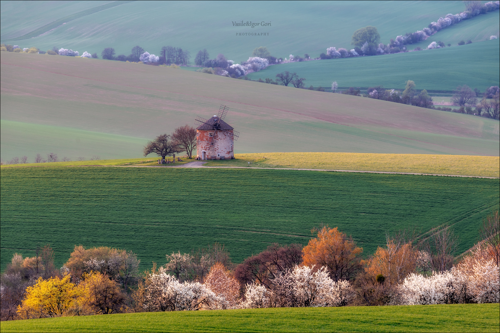 Kunkovice in spring