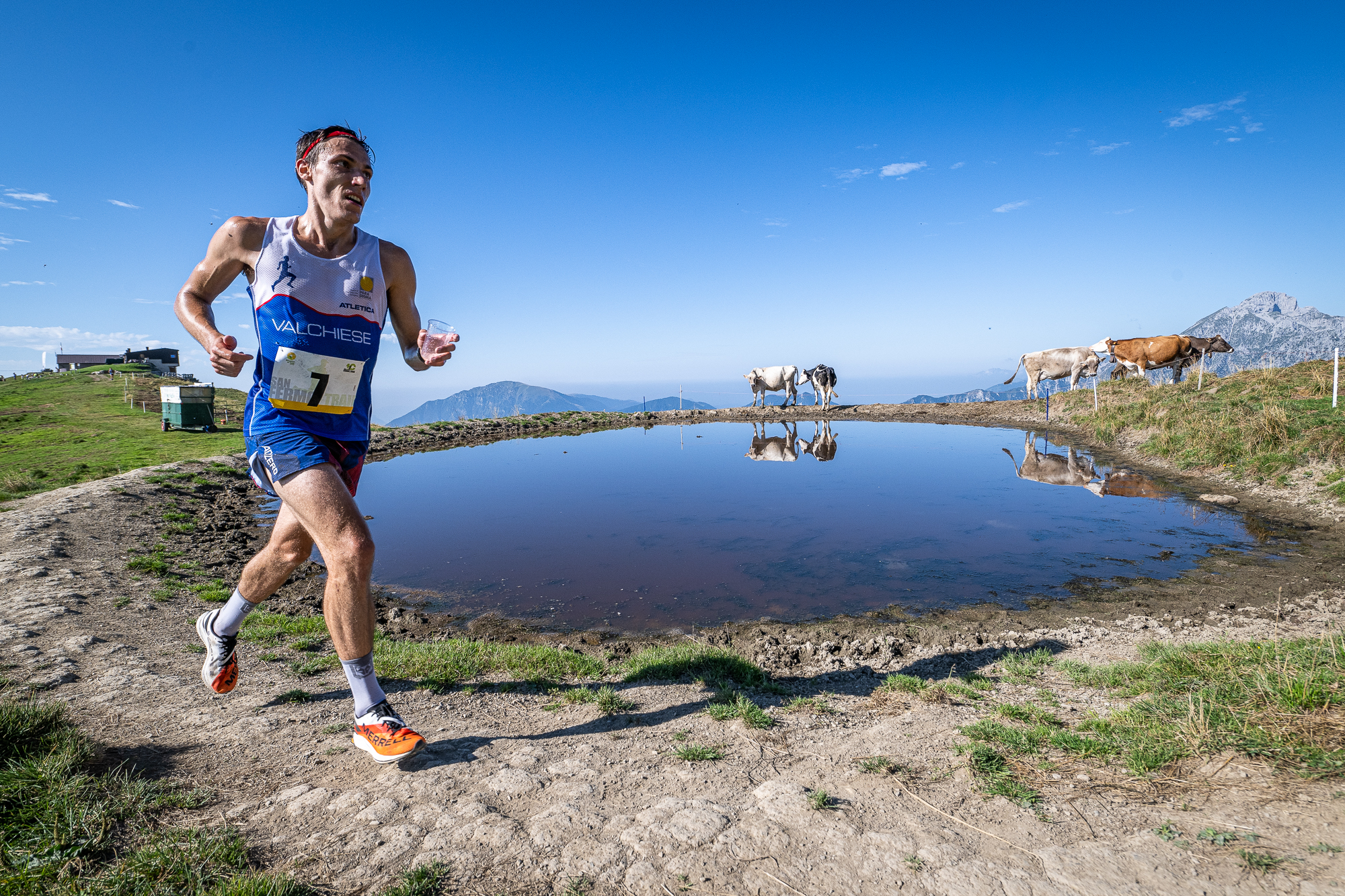 io corro voi godetevela